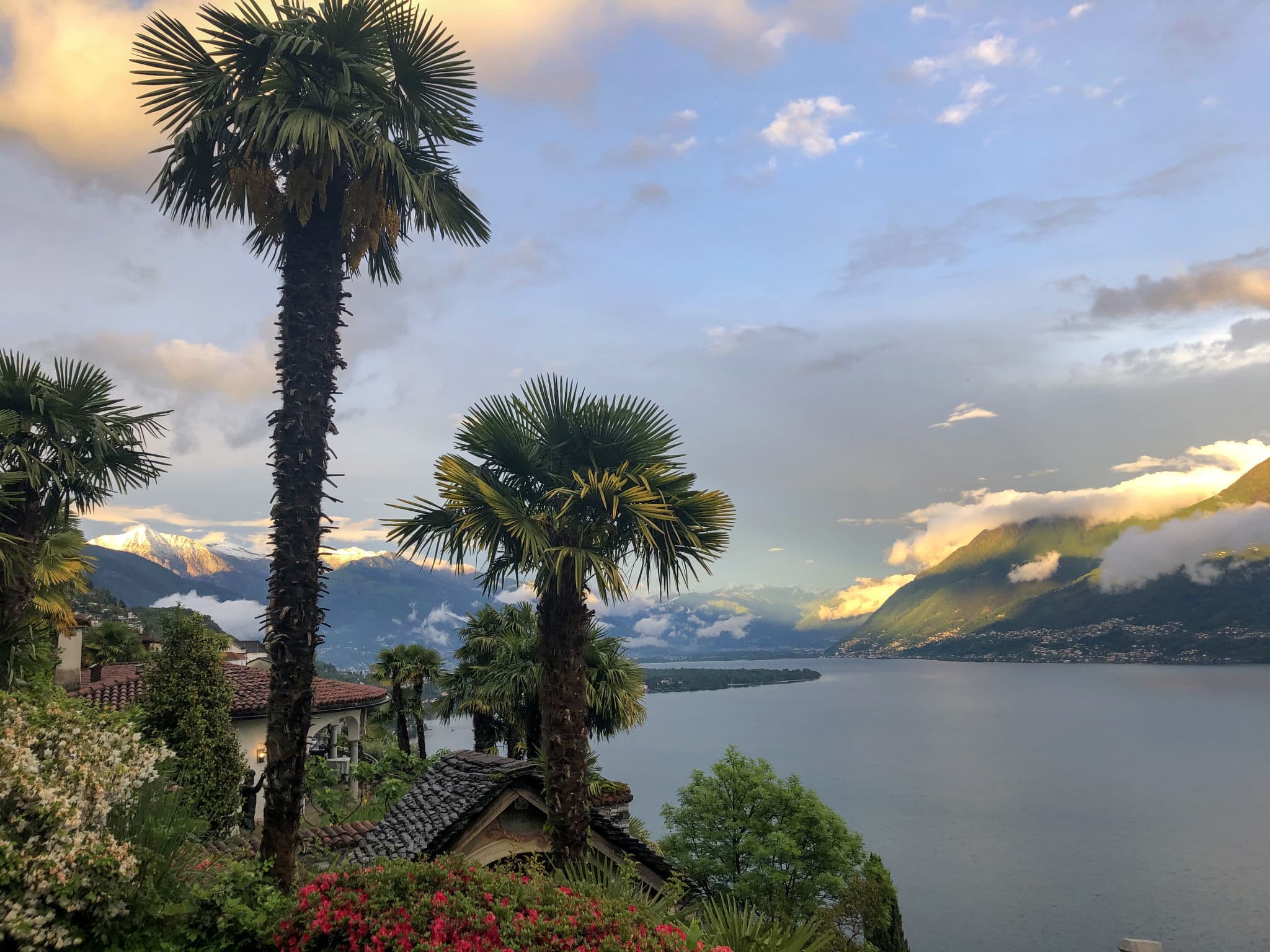 View