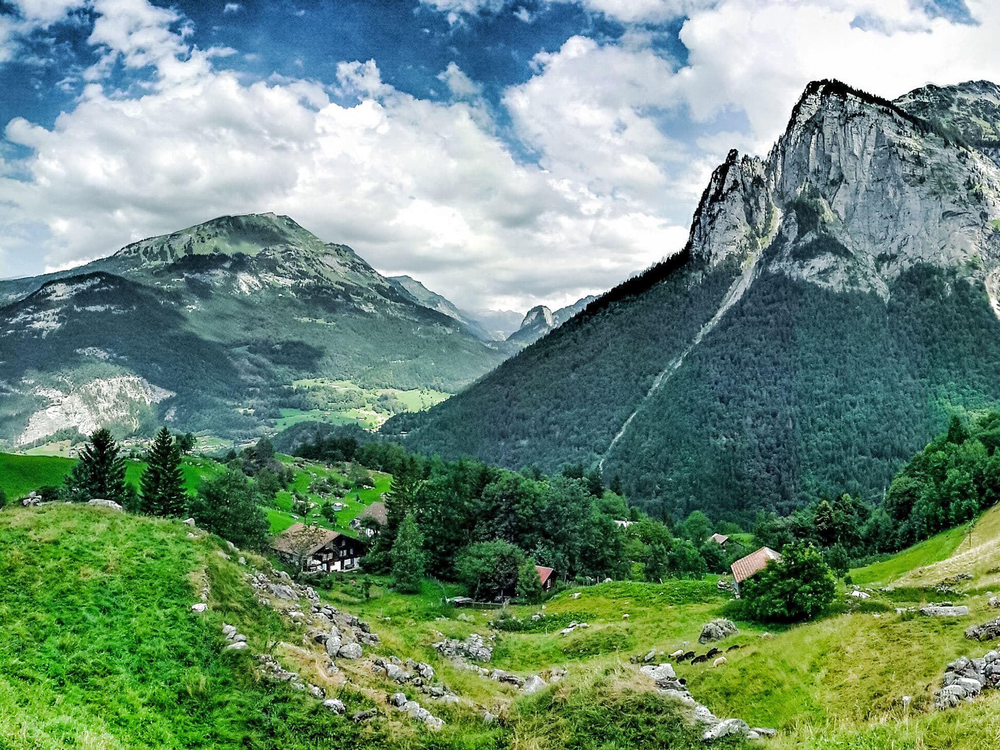 View