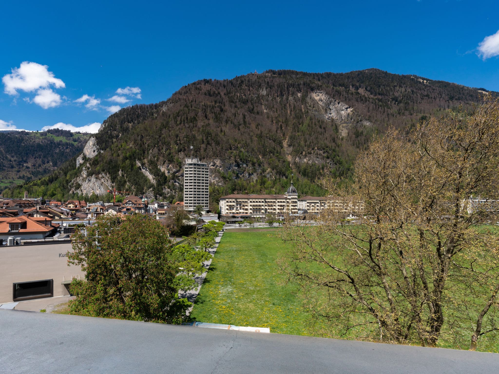 View