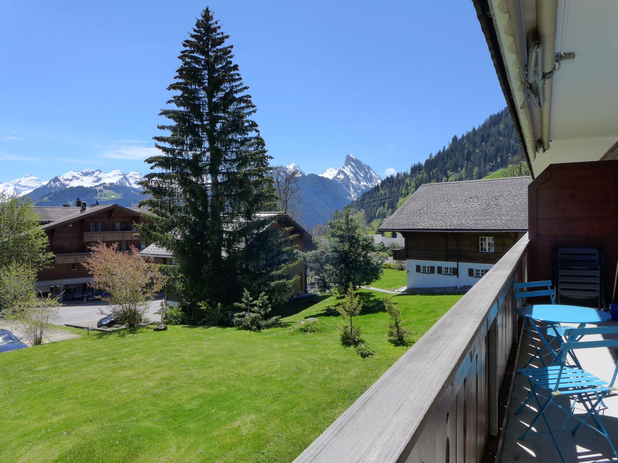 View