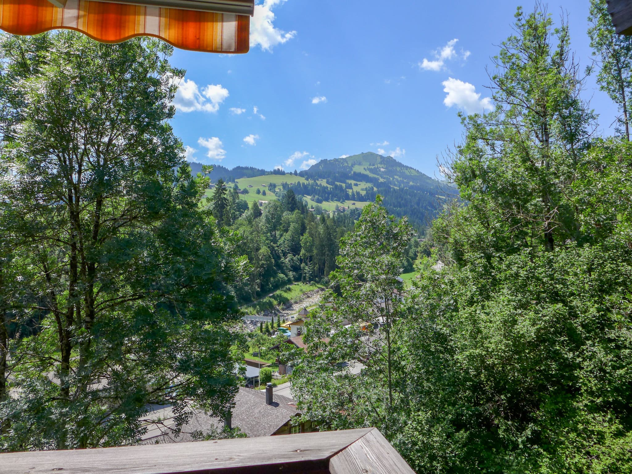 View