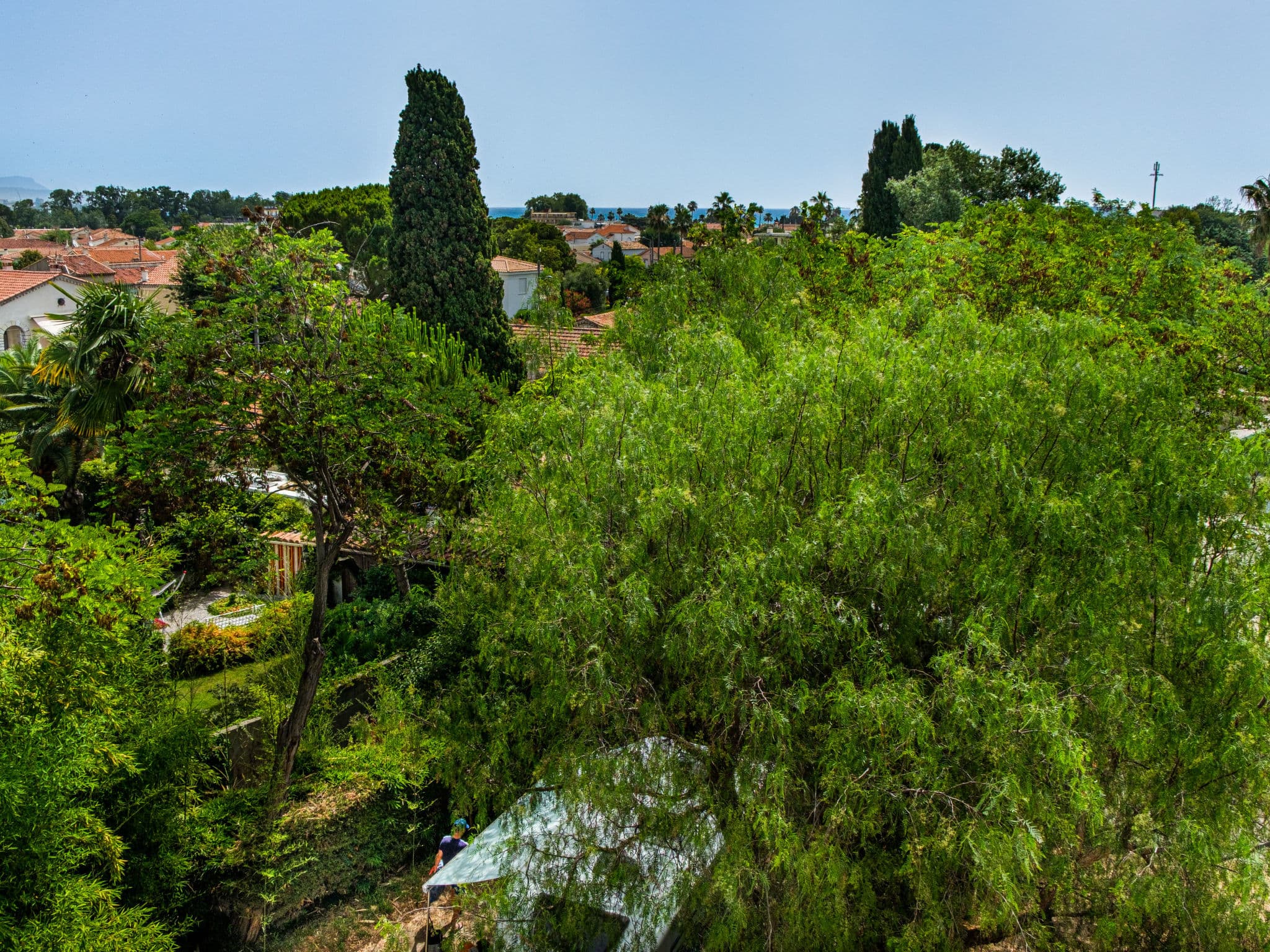 View