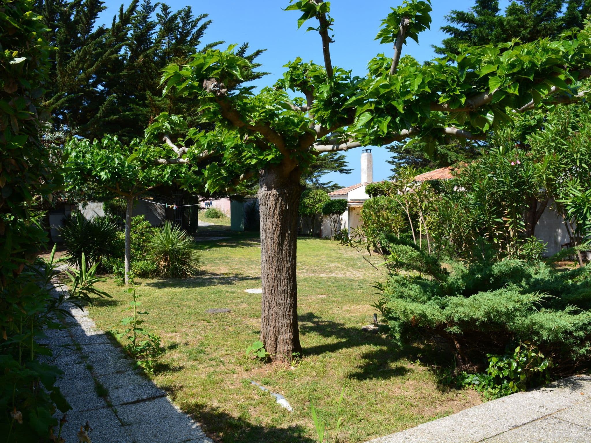 Gallery Image 21