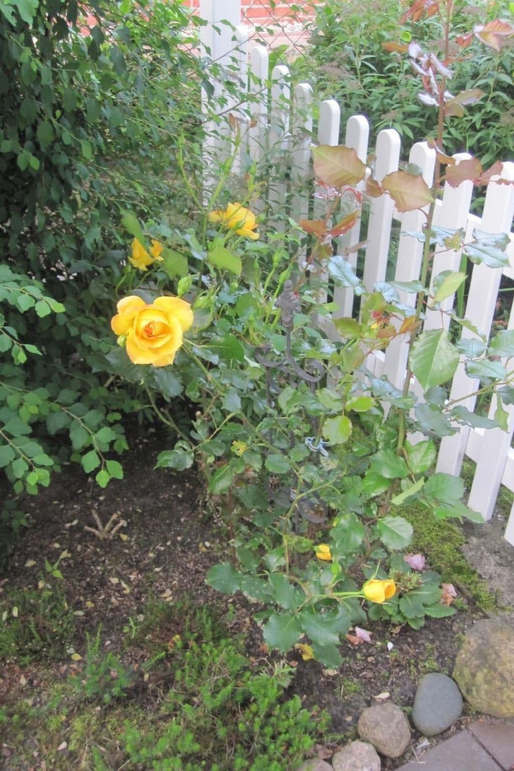 Gallery Image 35