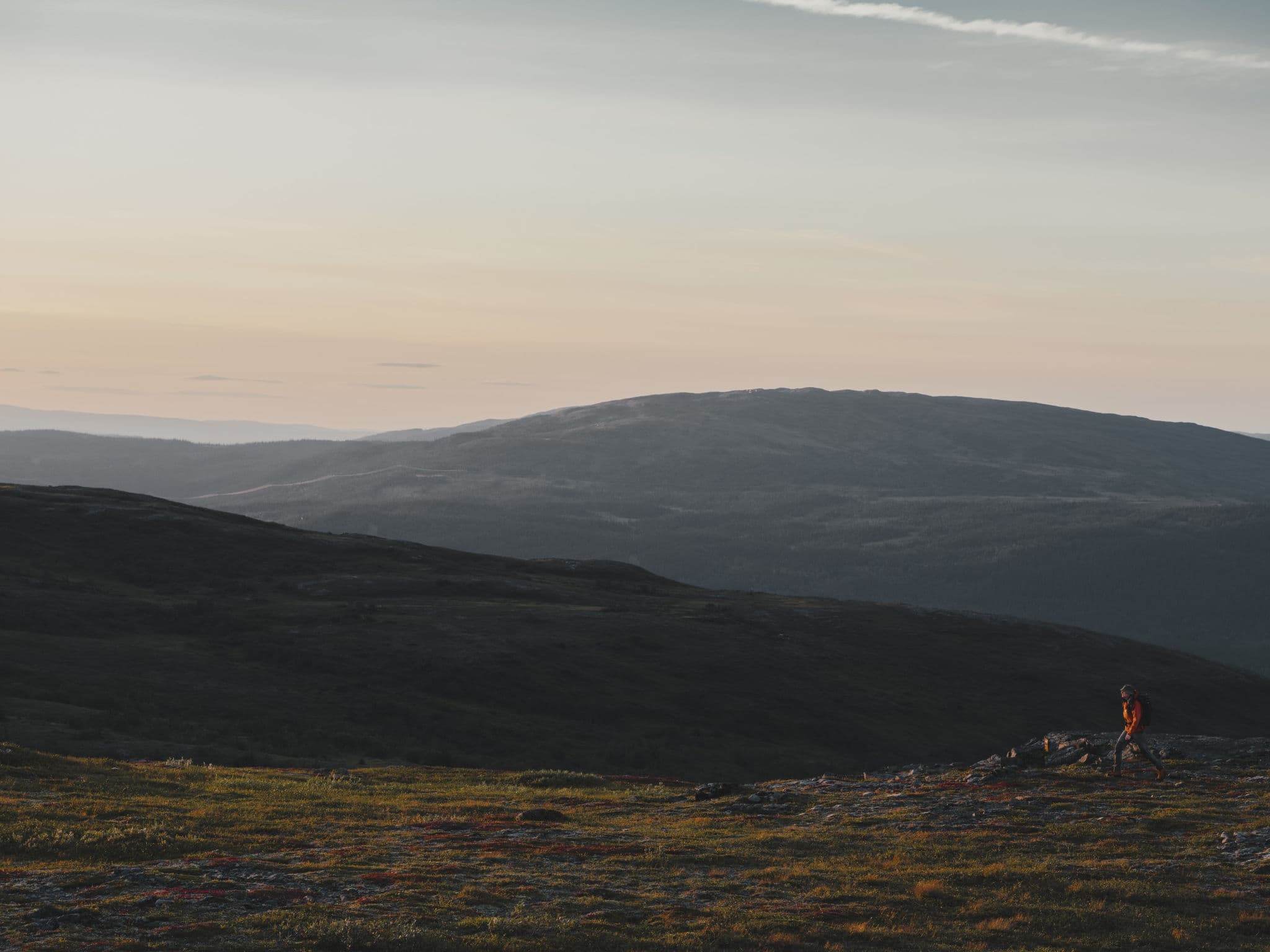 View