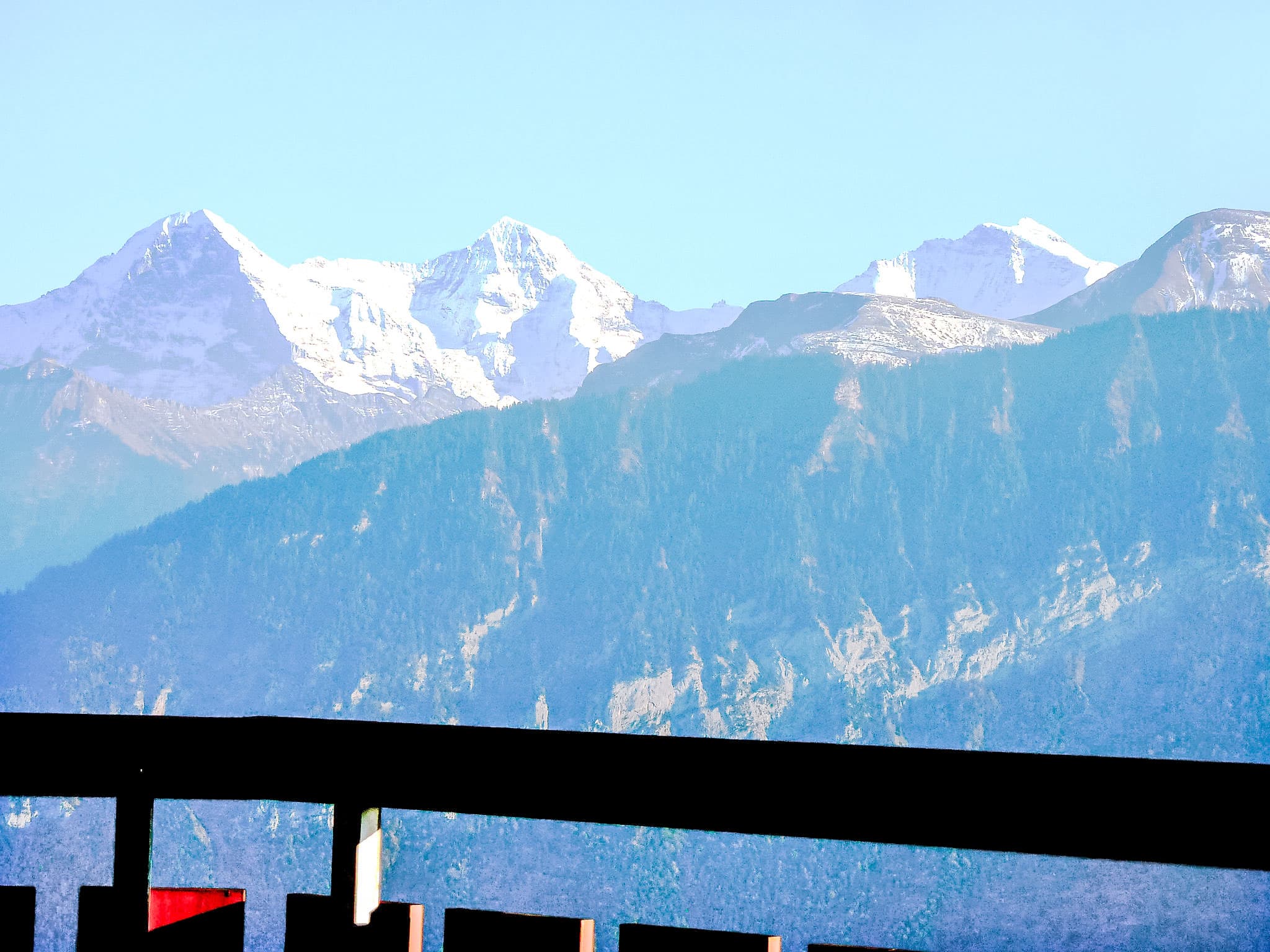 View