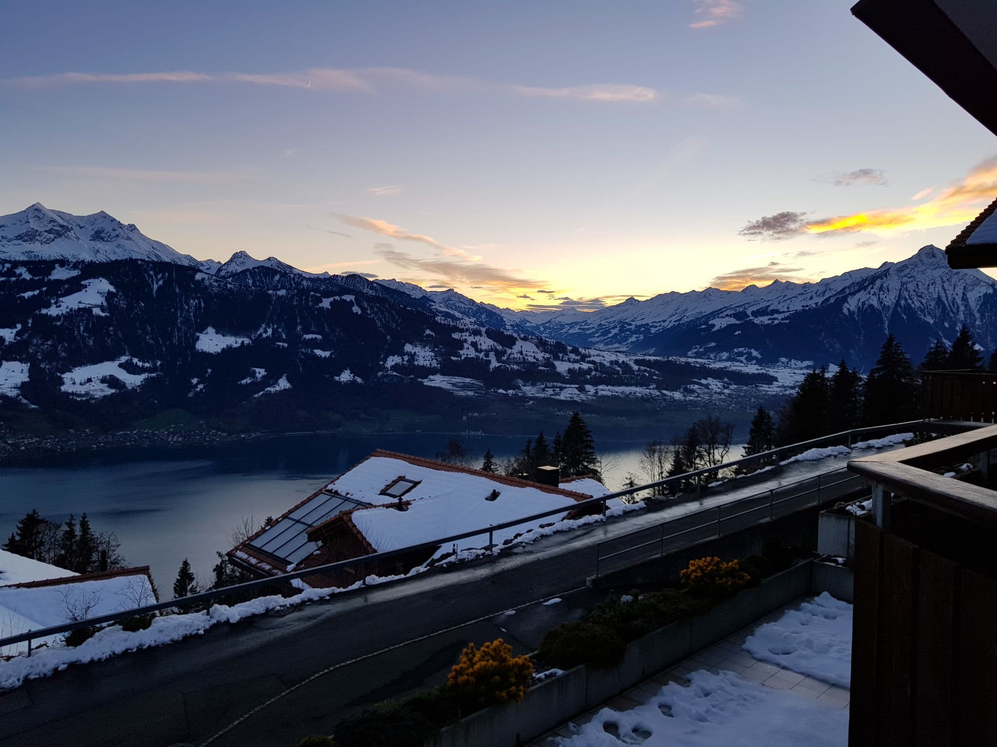View