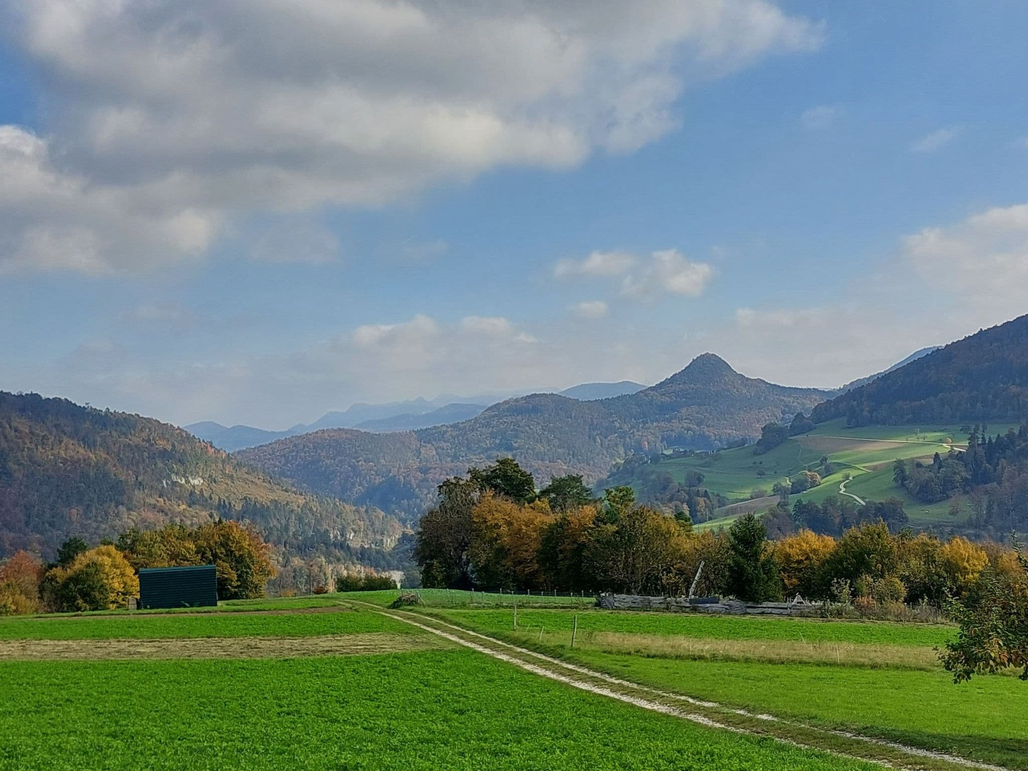 View
