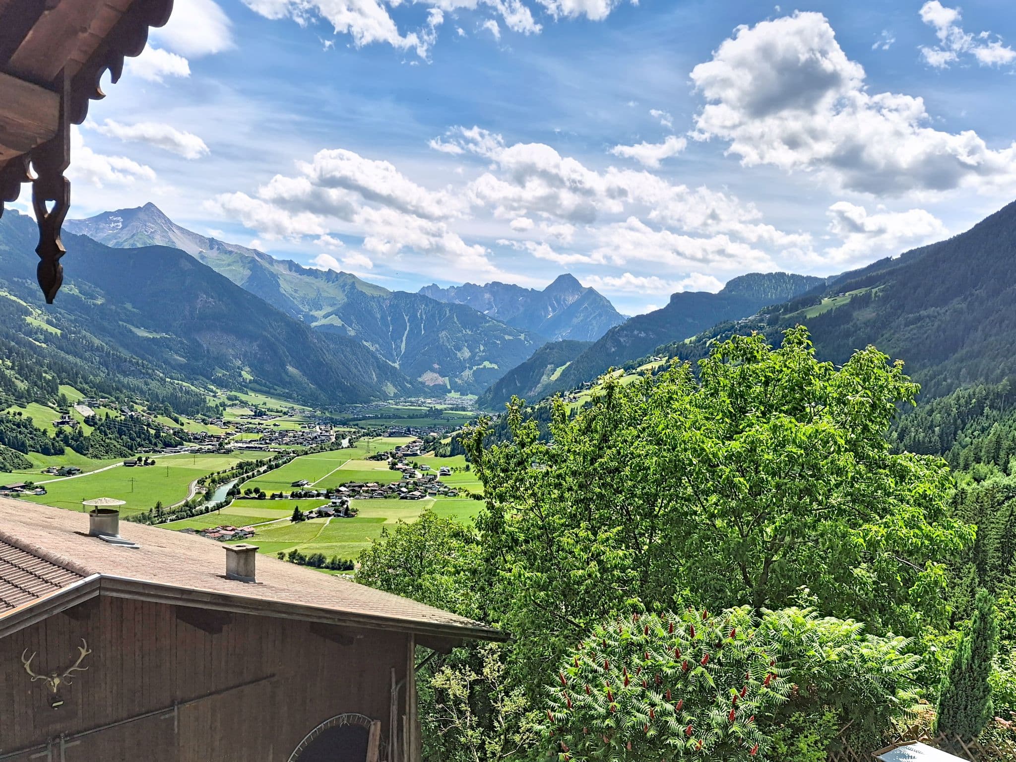 View