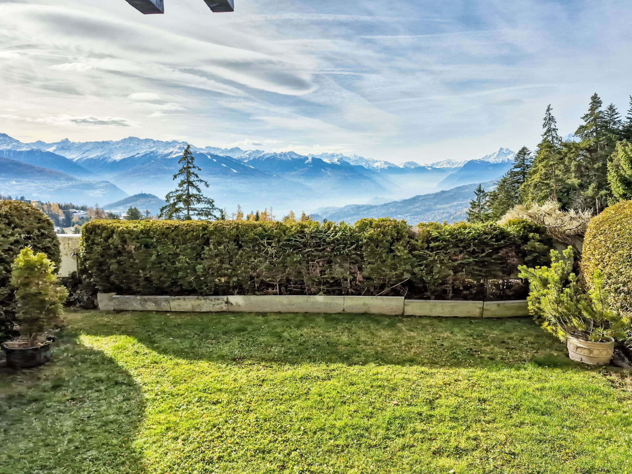 View