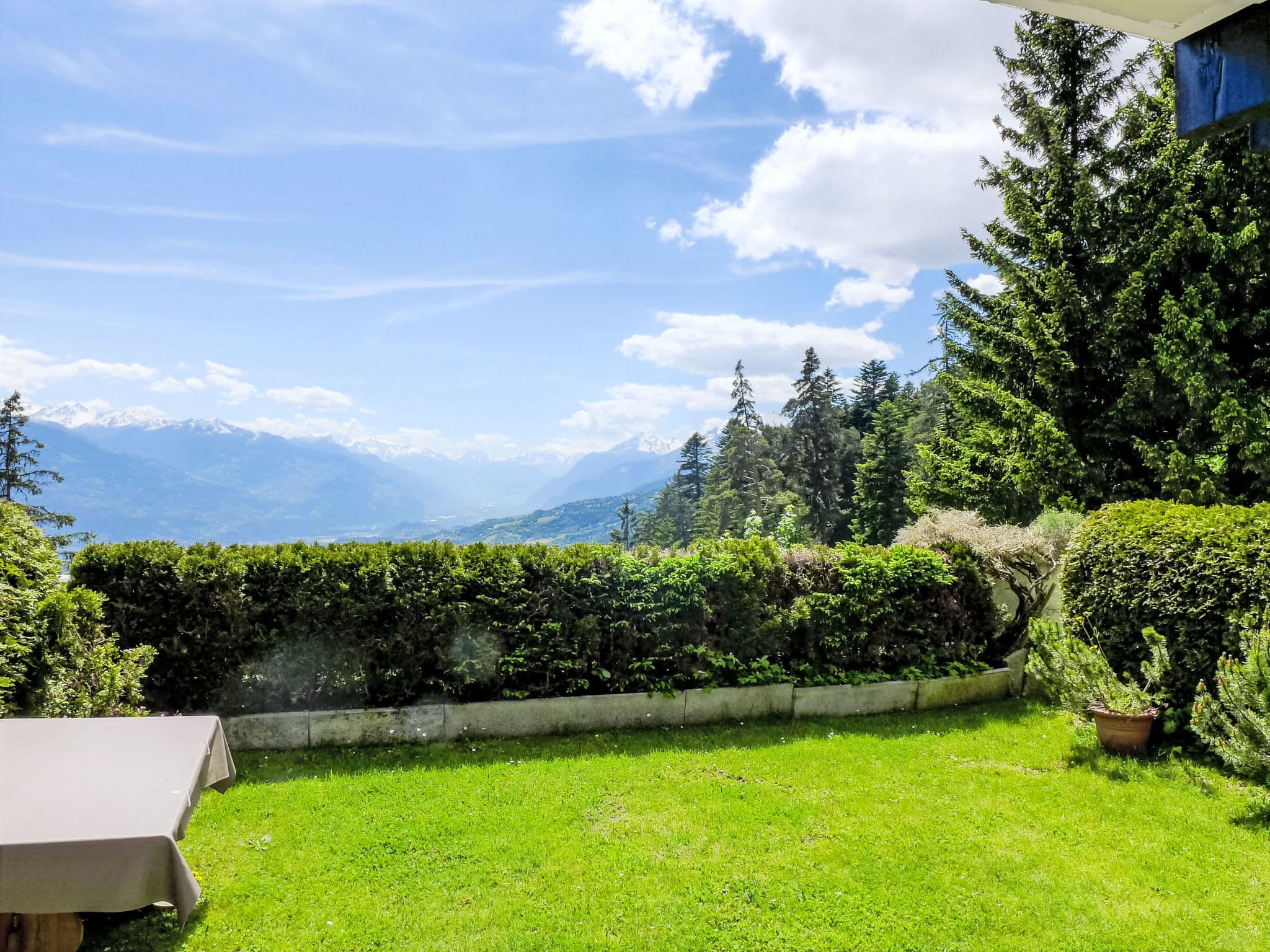 View
