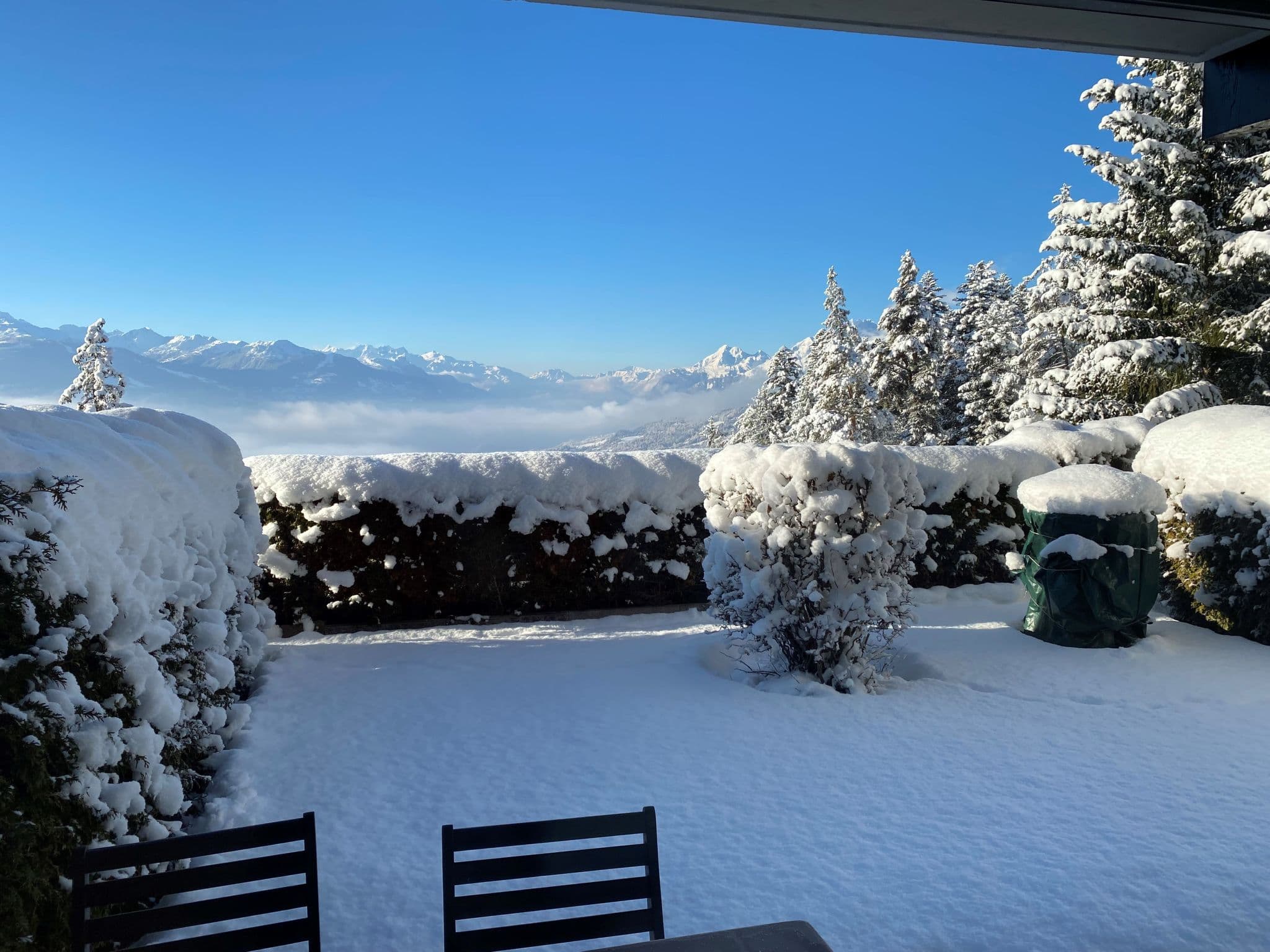View