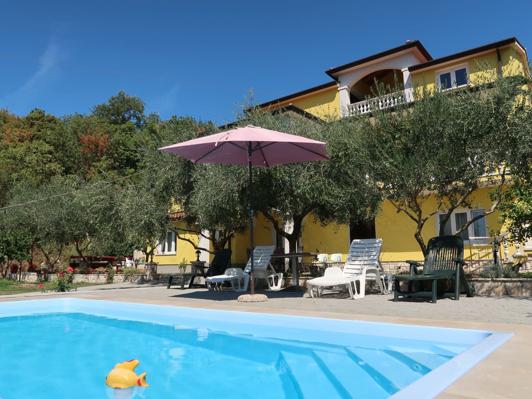 Pool Outdoor