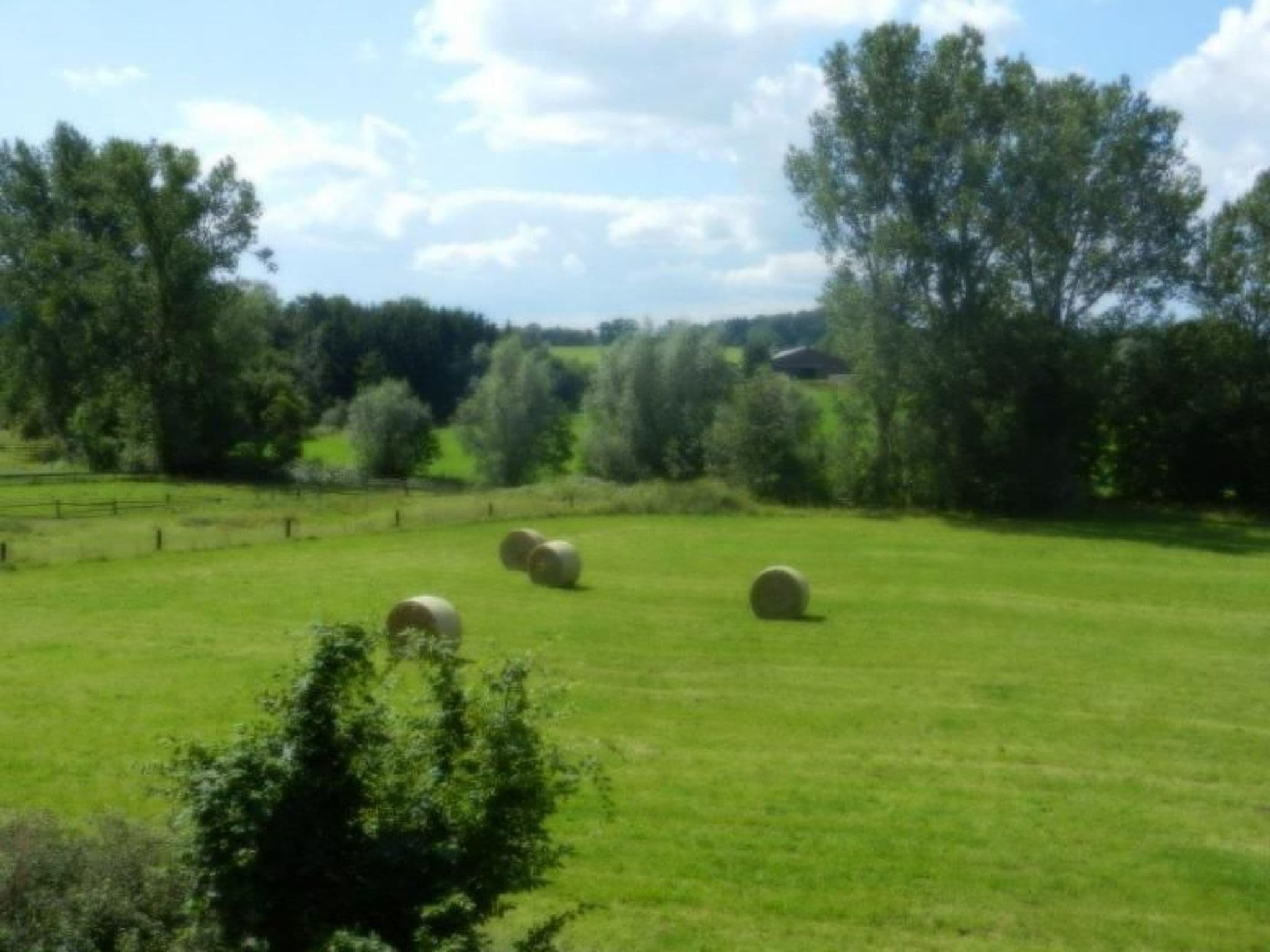 Gallery Image 11