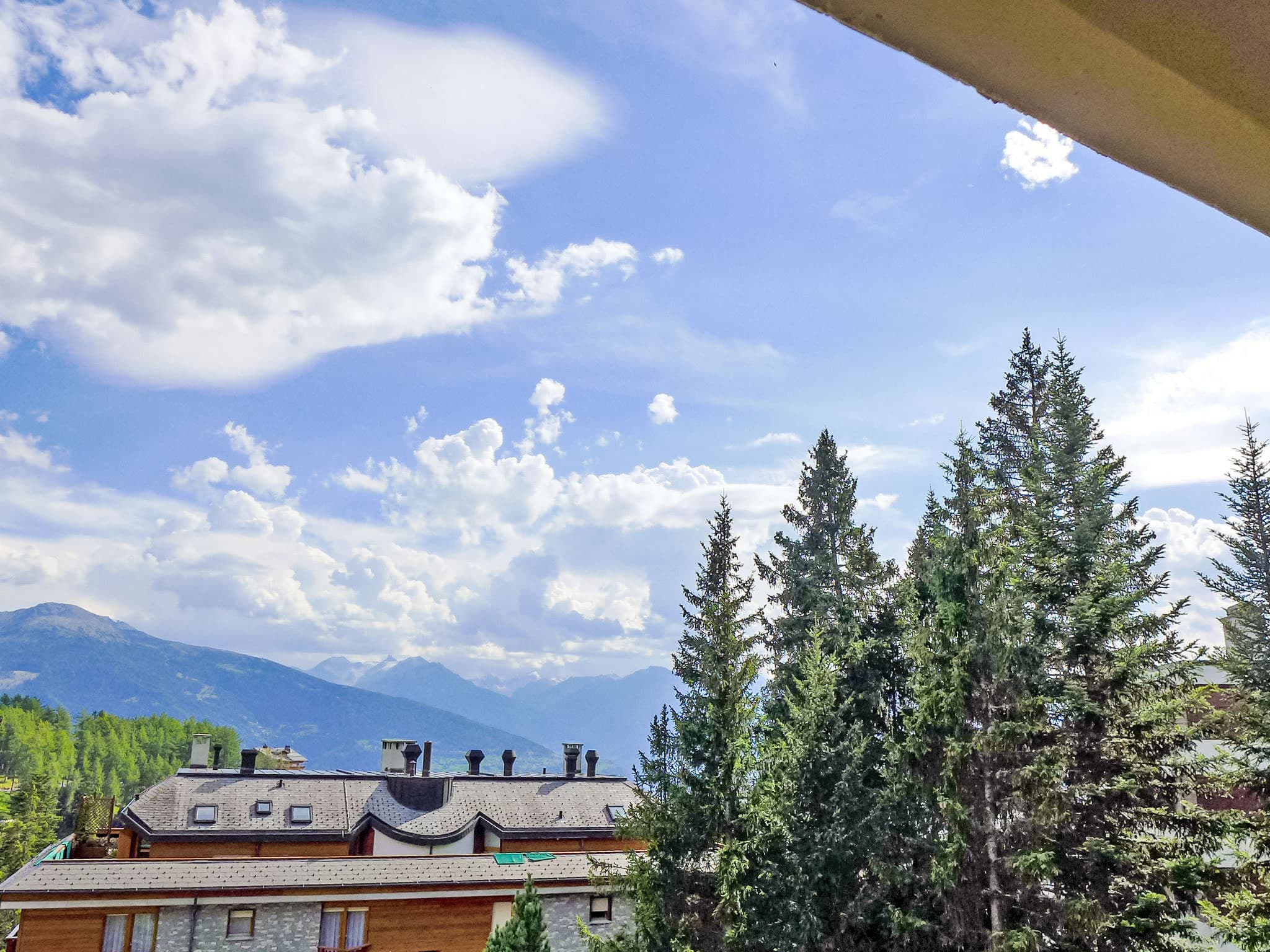 View