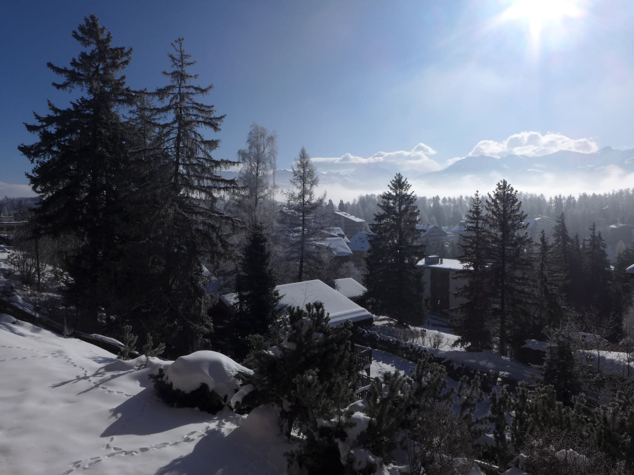 View