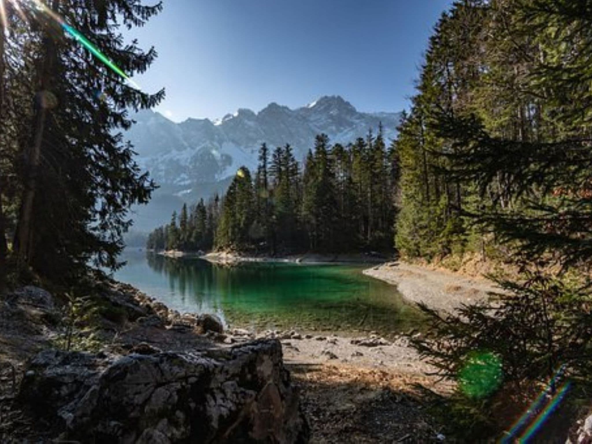 Gallery Image 16