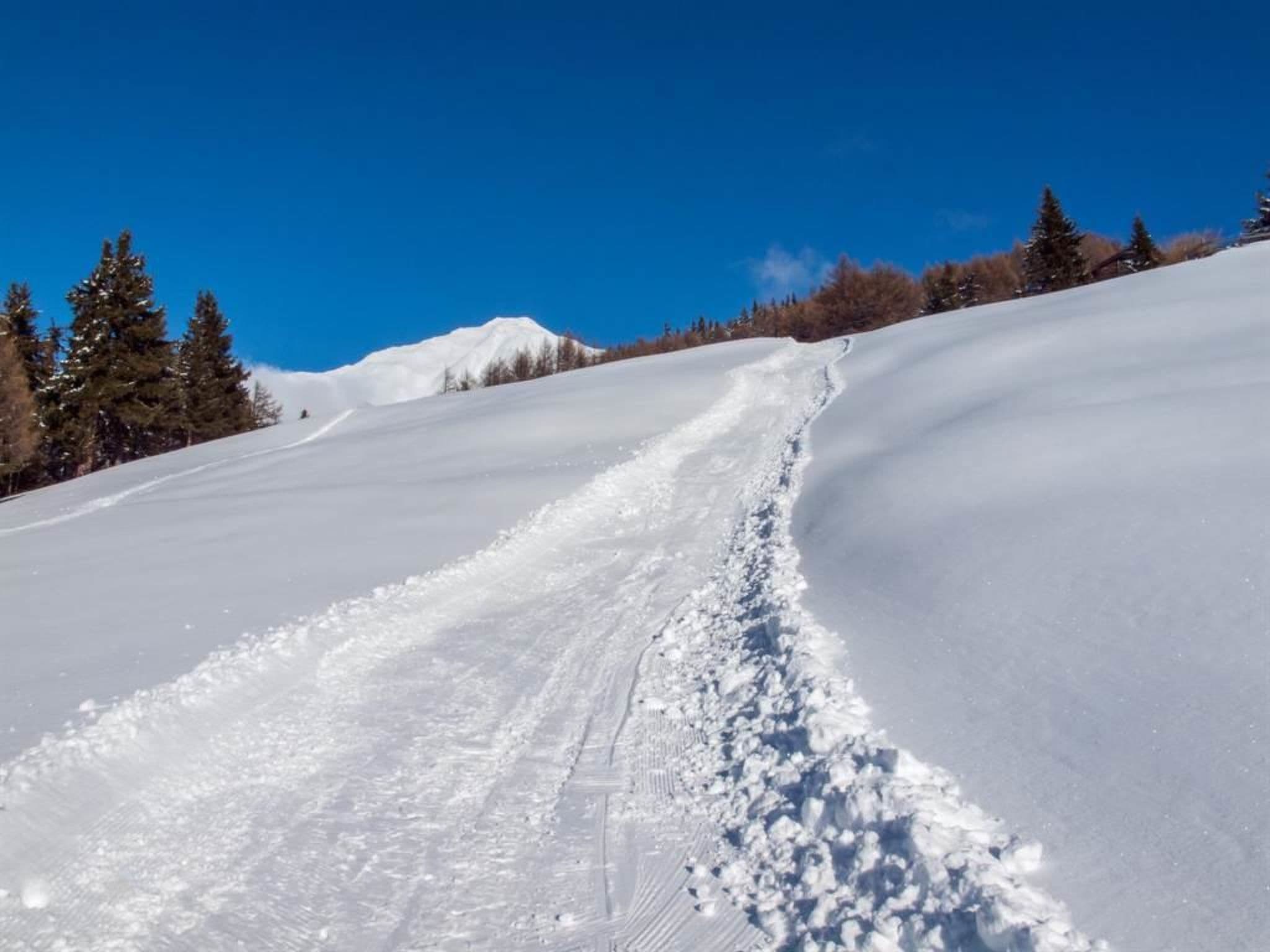 Gallery Image 20