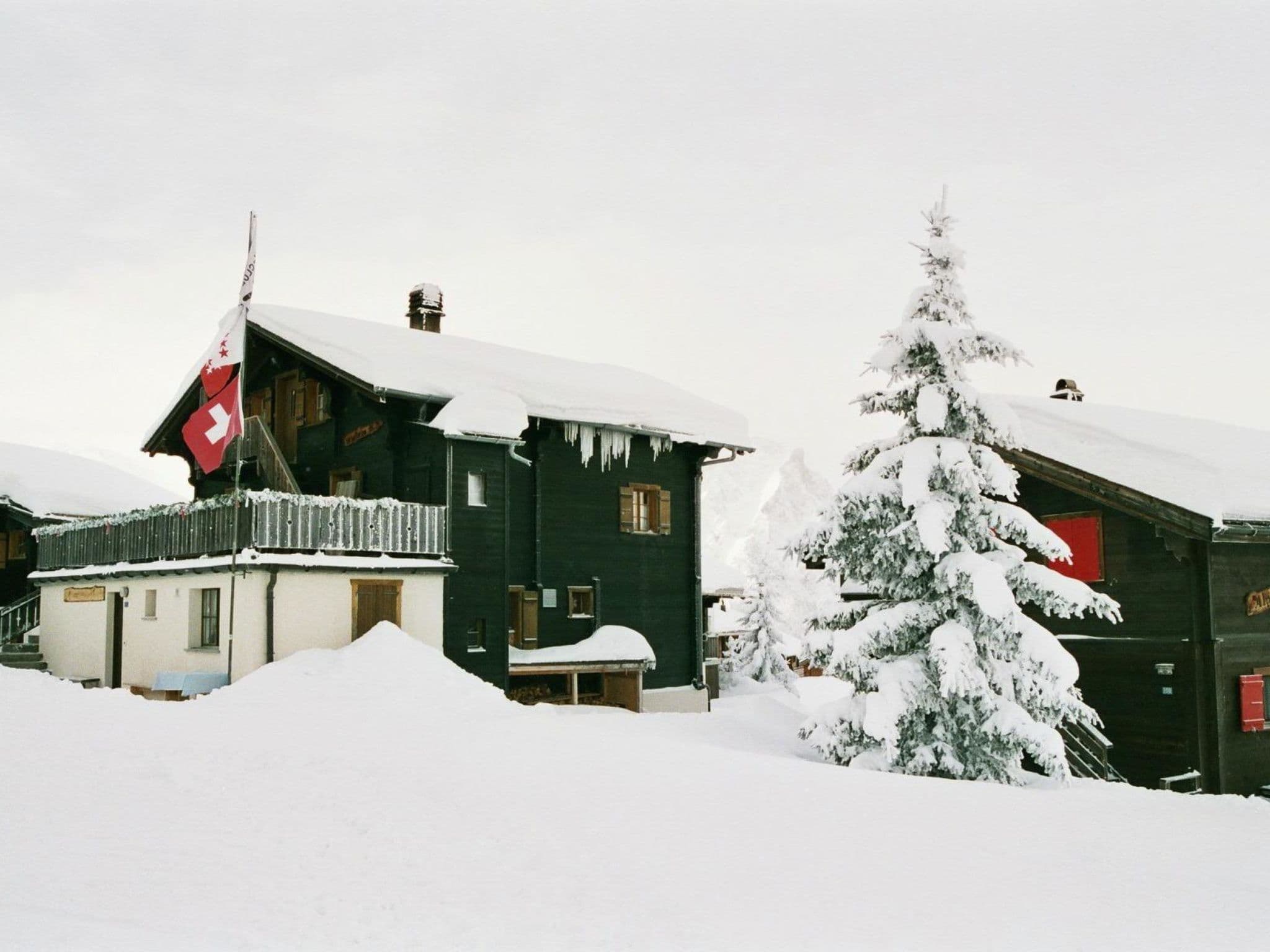 Gallery Image 12