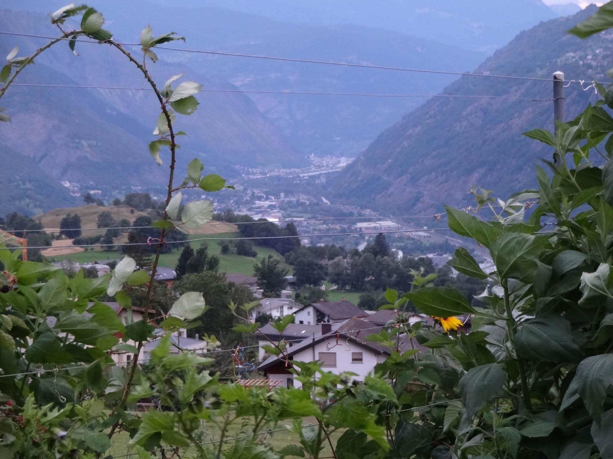 View