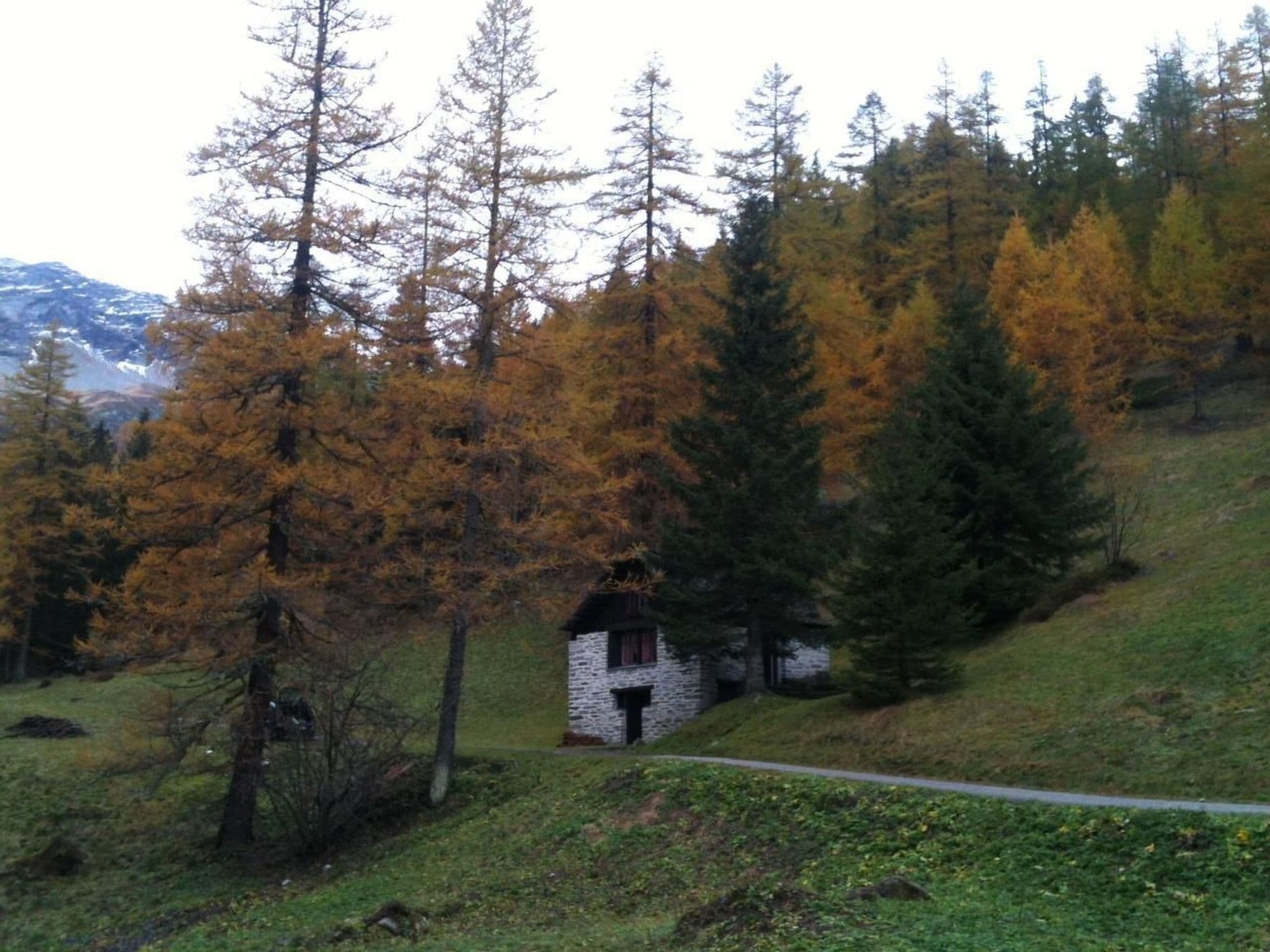 Gallery Image 6