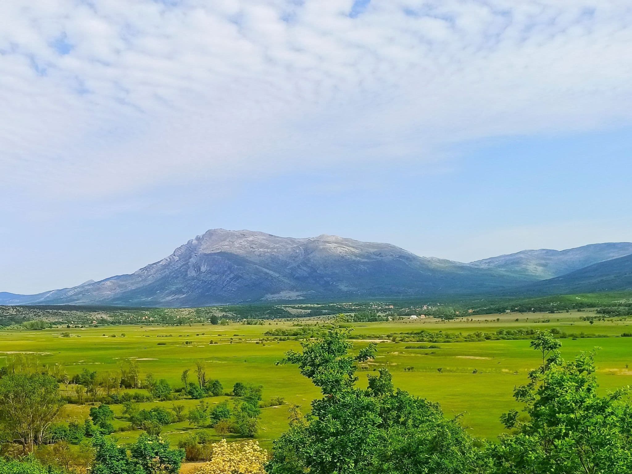 View
