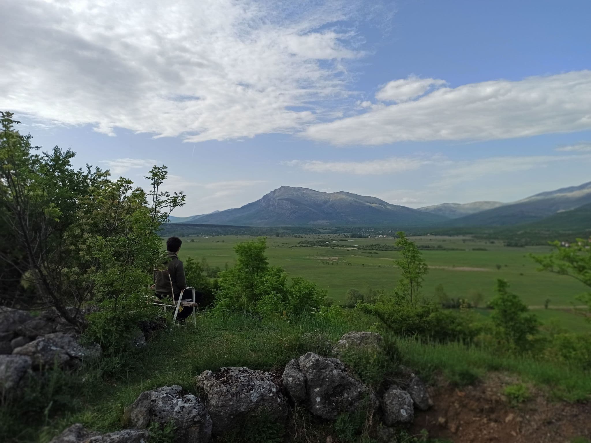 View
