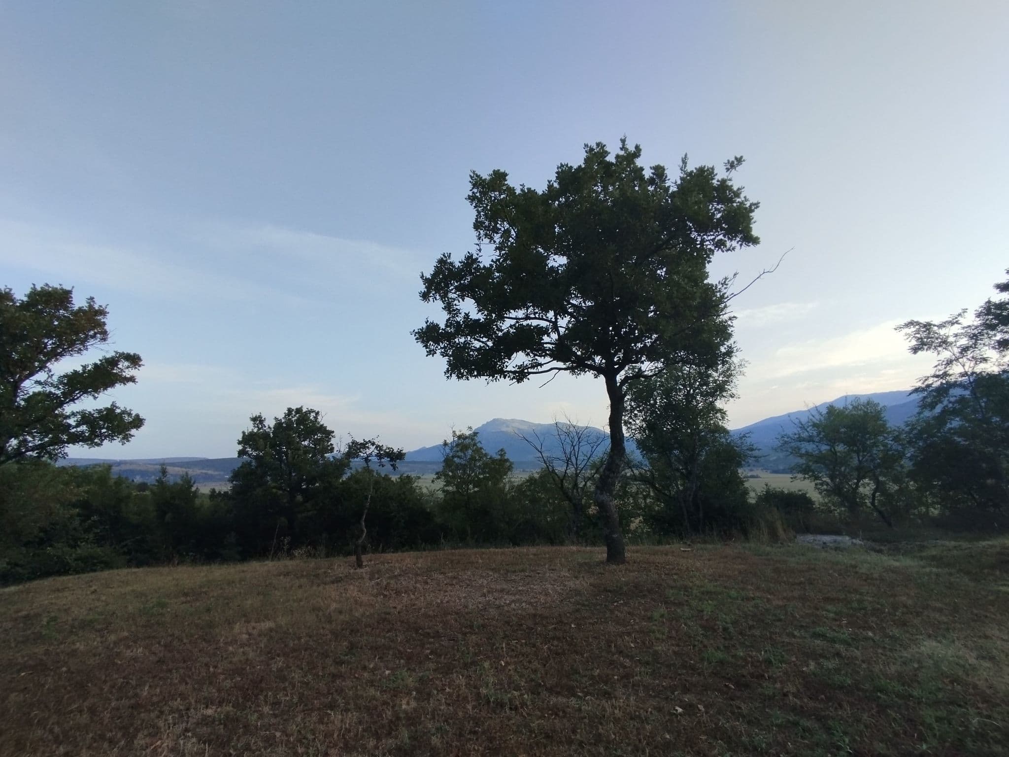 View