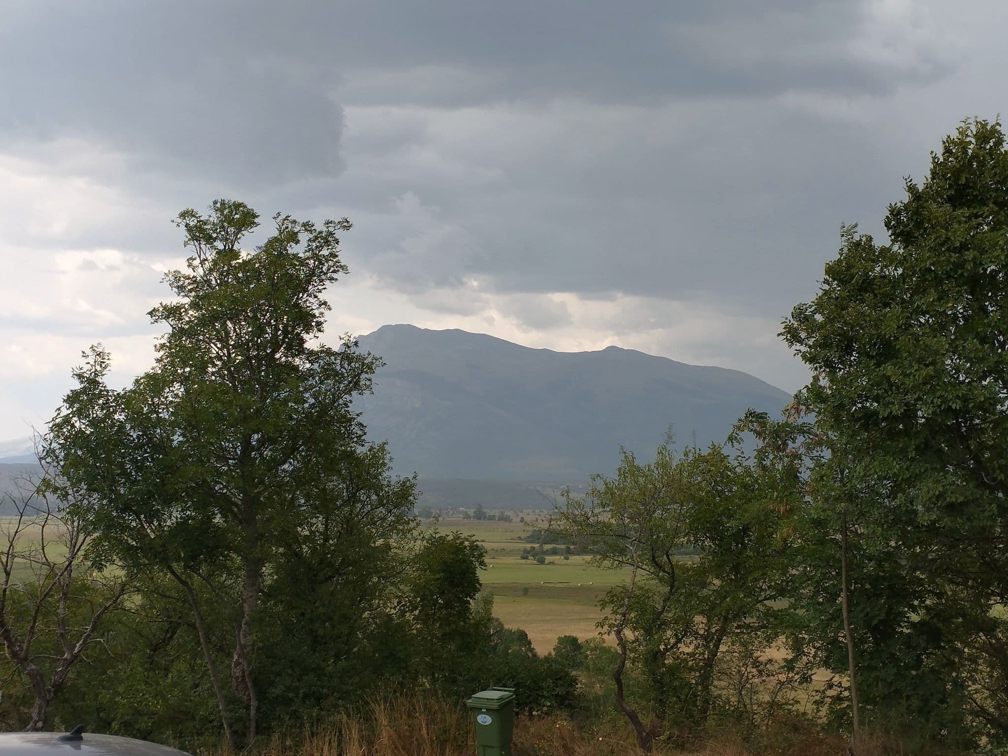 View