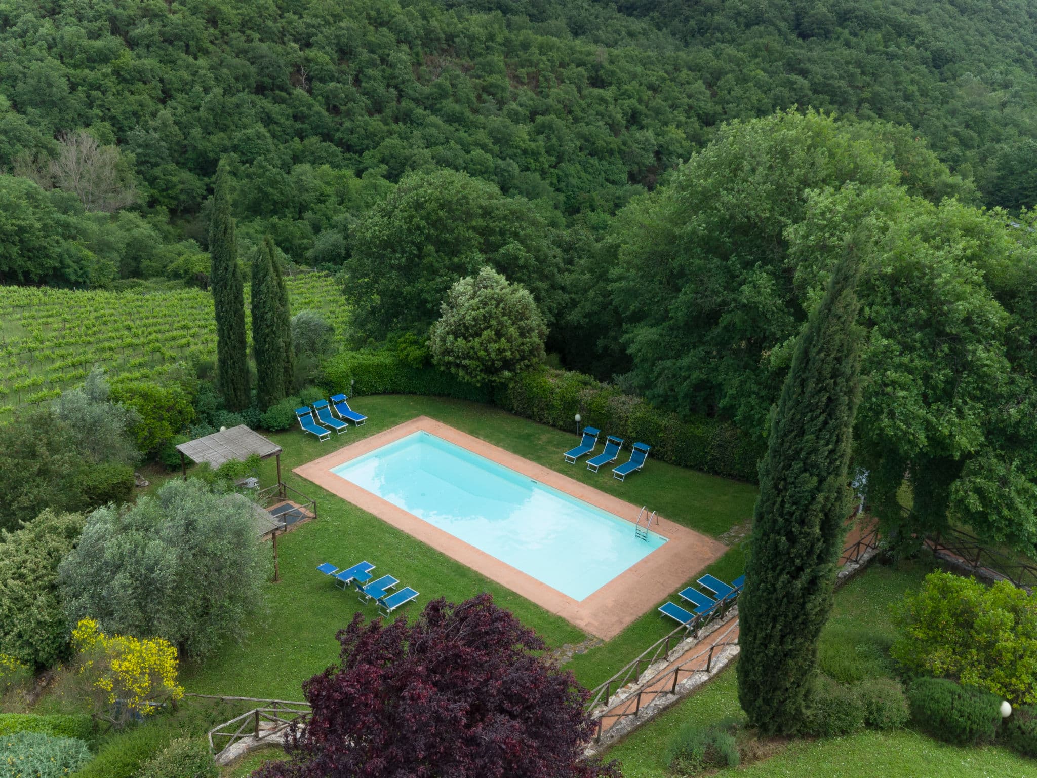 Pool Outdoor