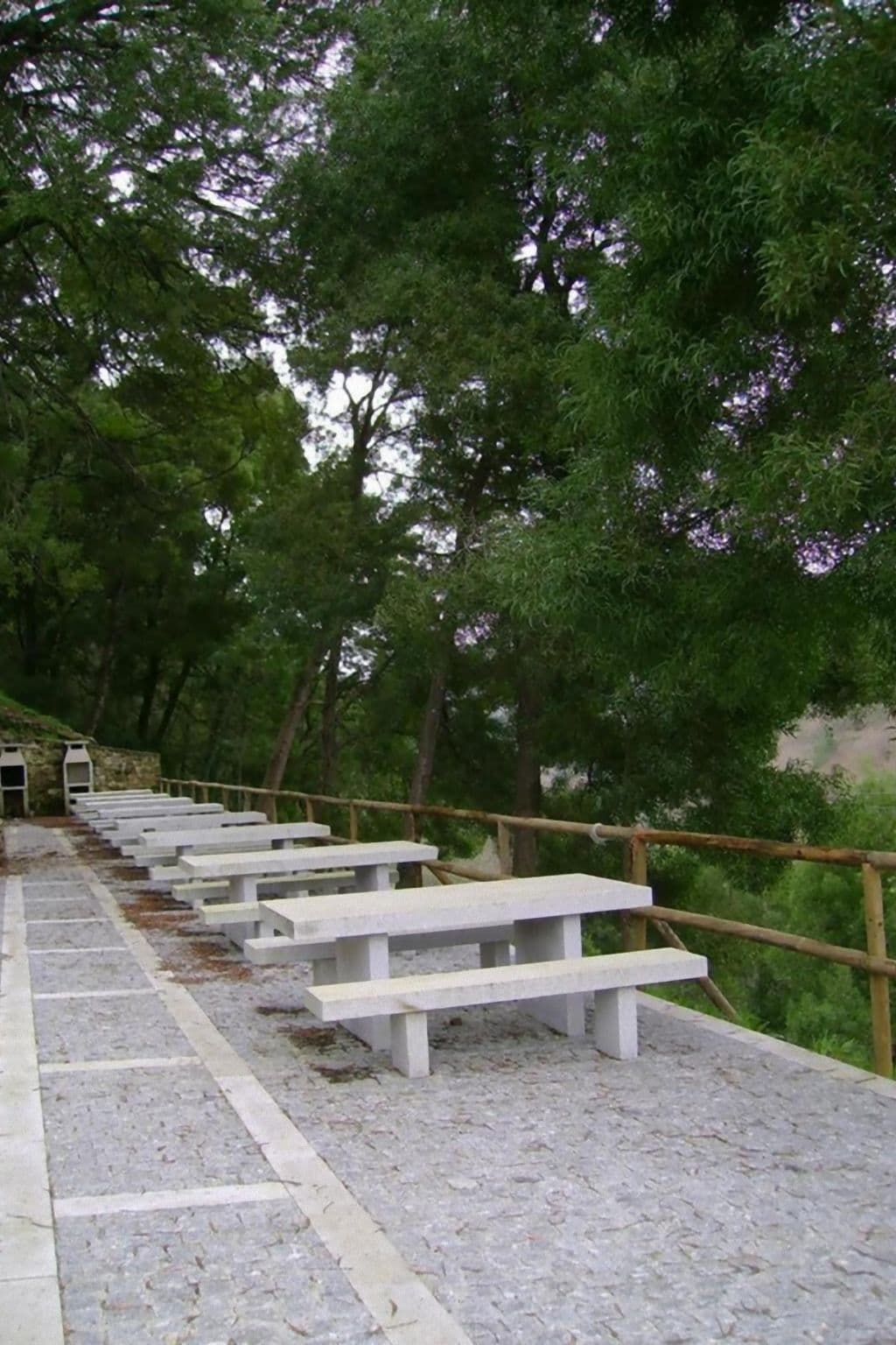 Gallery Image 24