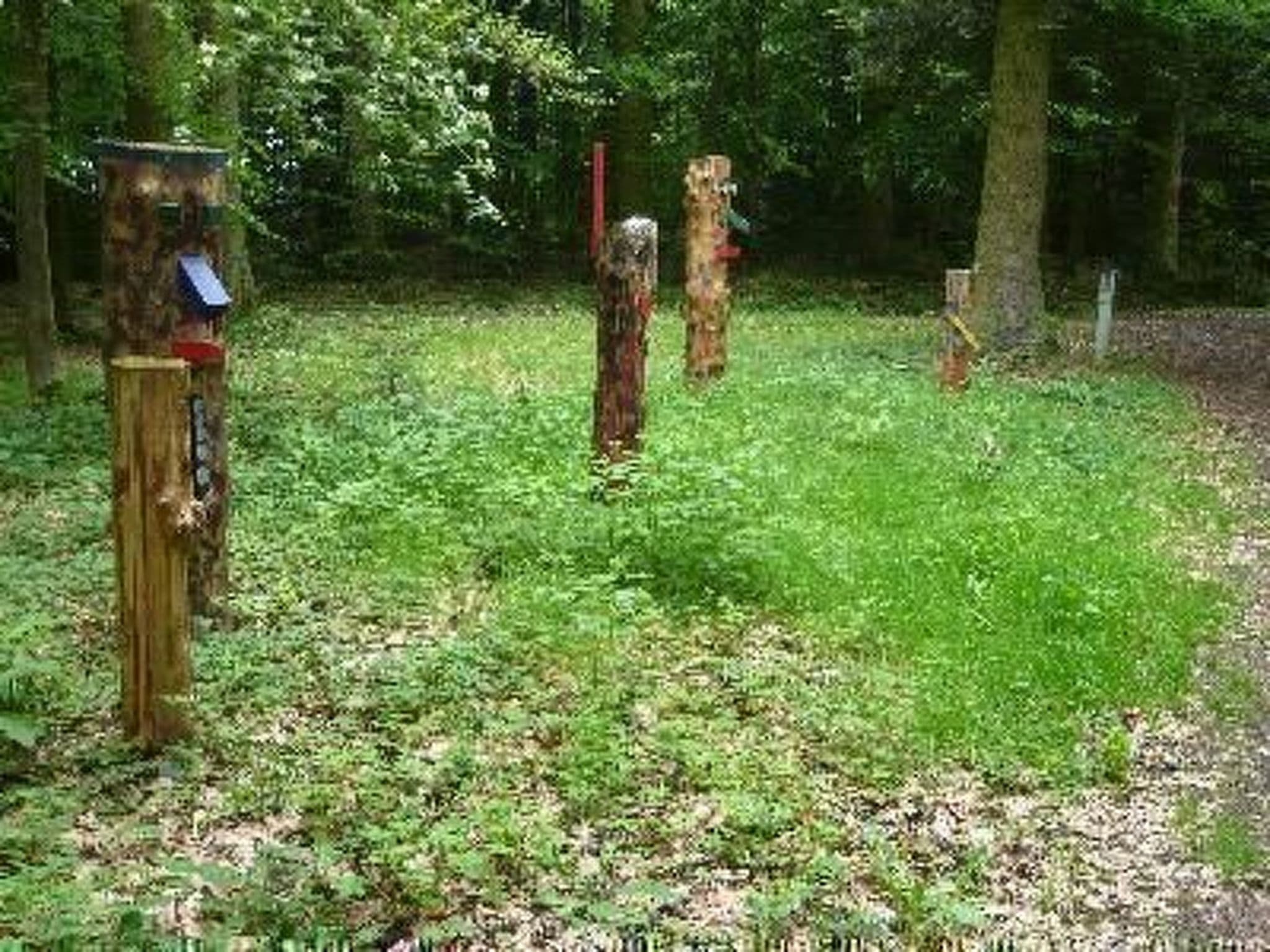 Gallery Image 17
