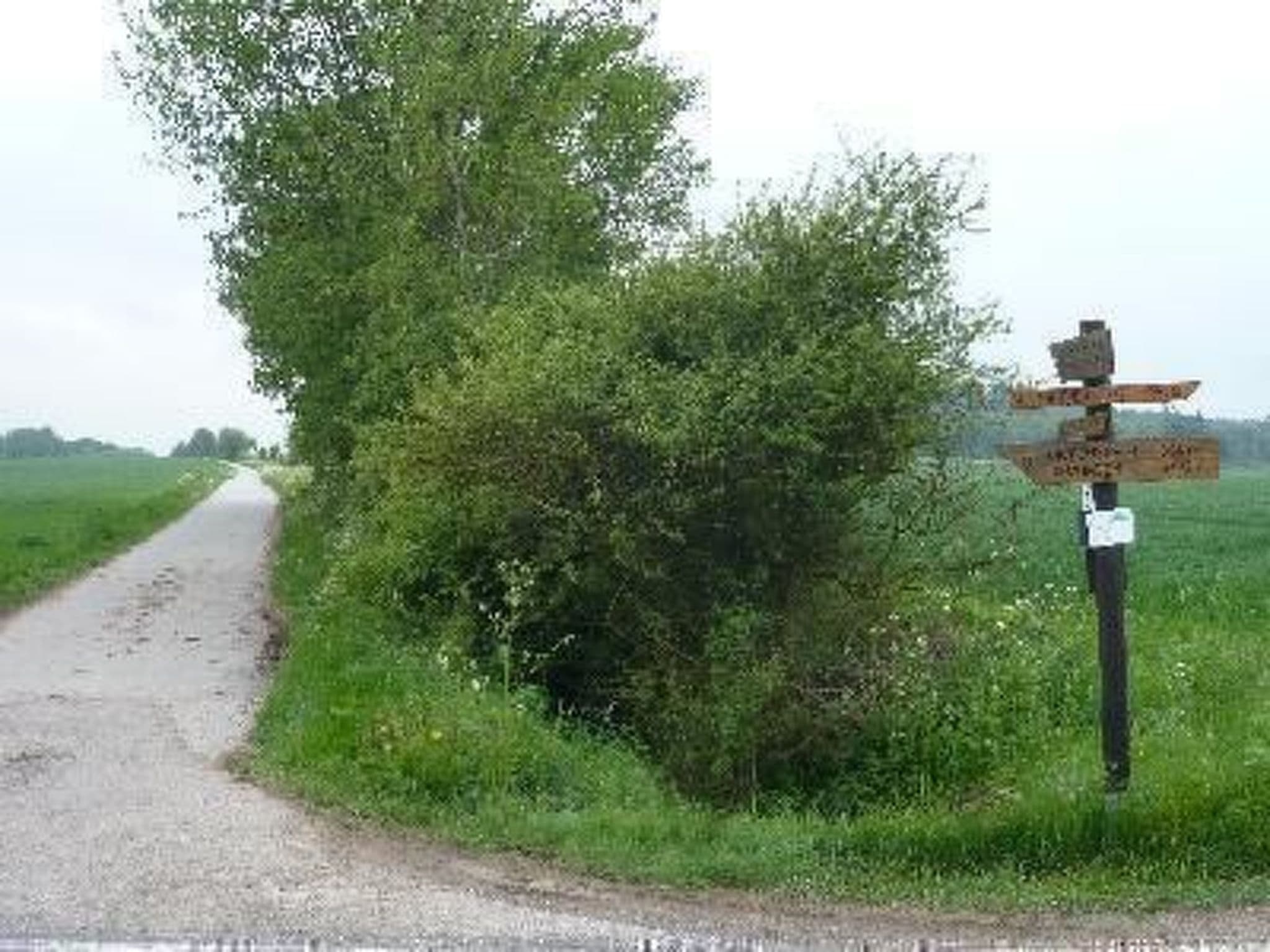 Gallery Image 19