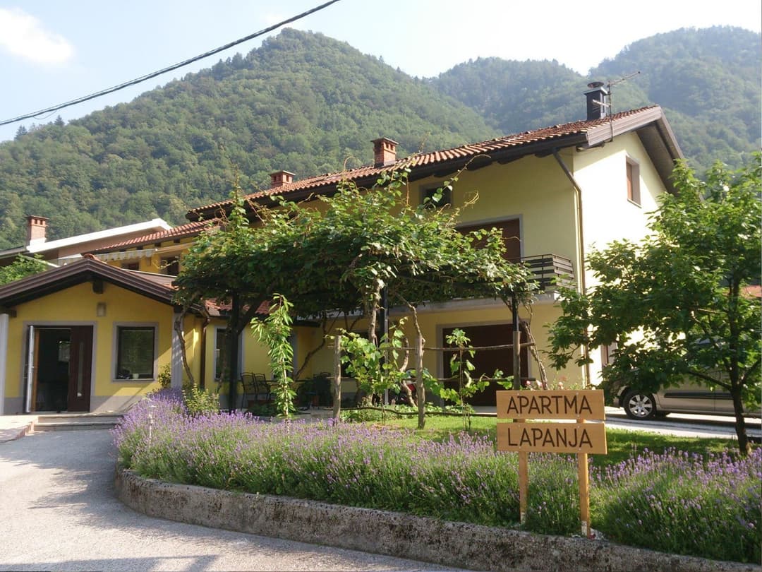 Large Image
