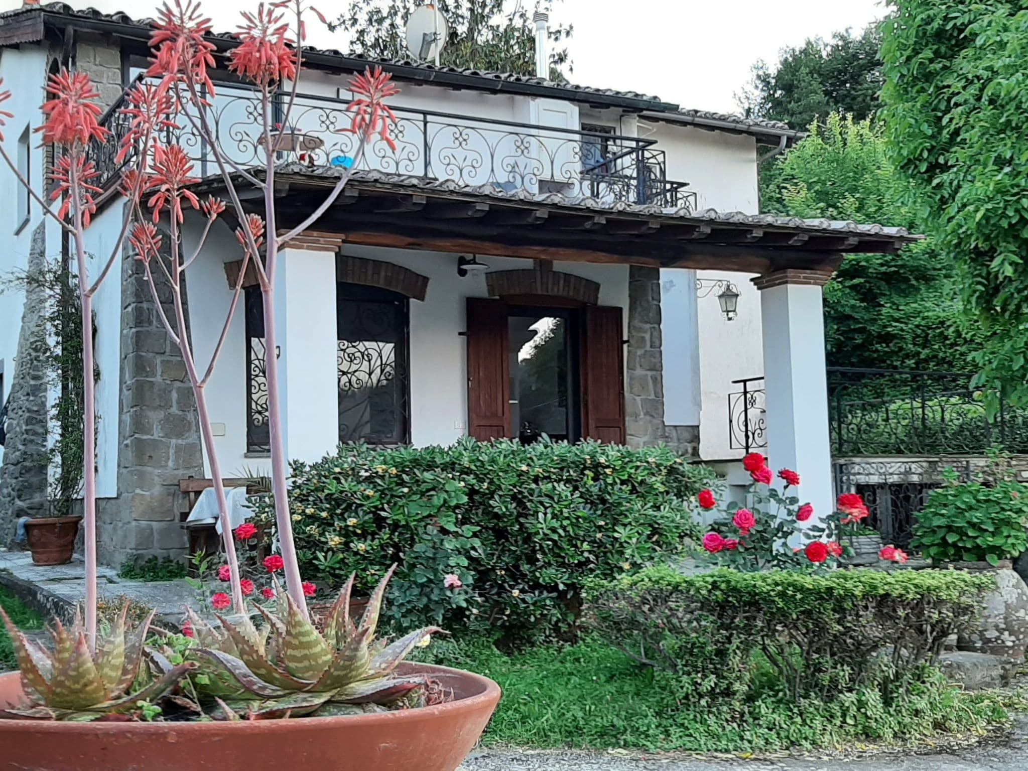 Gallery Image 19
