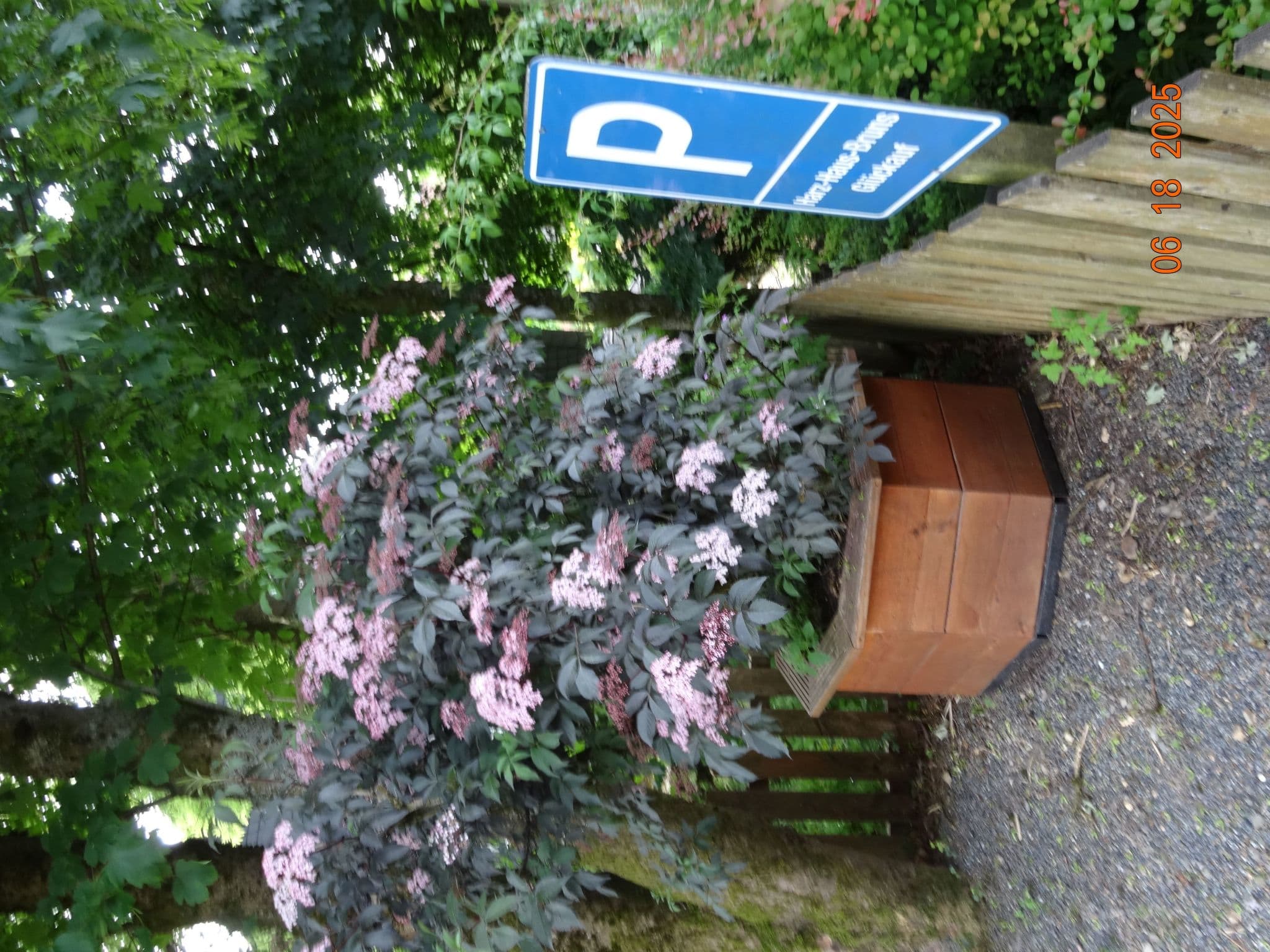 Gallery Image 31