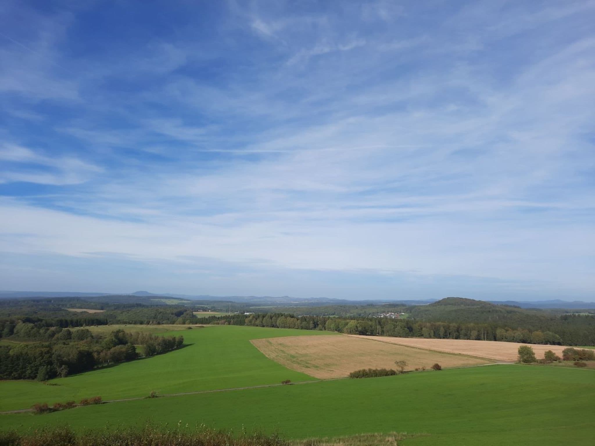 View