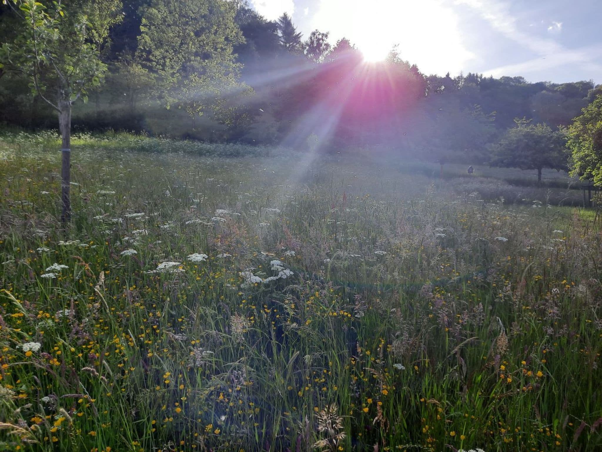 Gallery Image 15