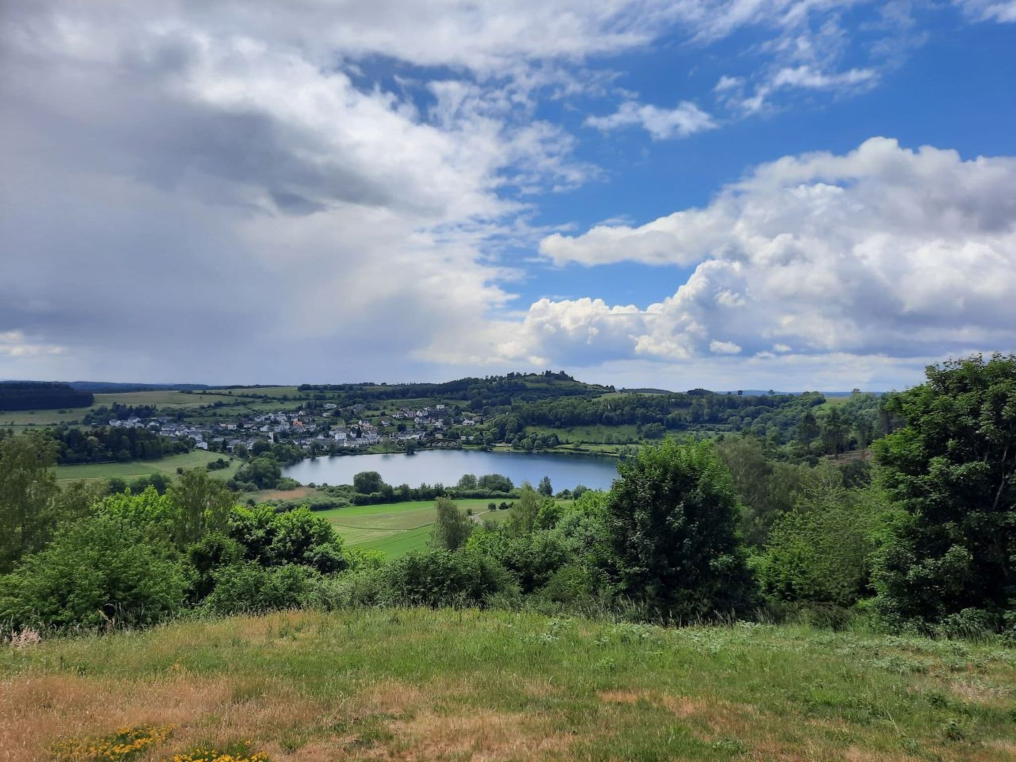 View