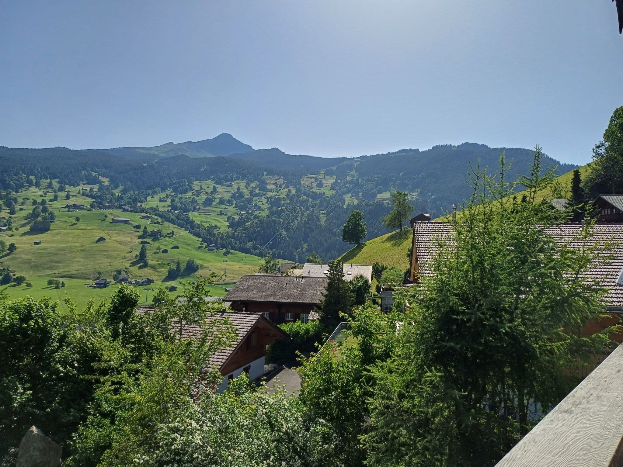 Gallery Image 21