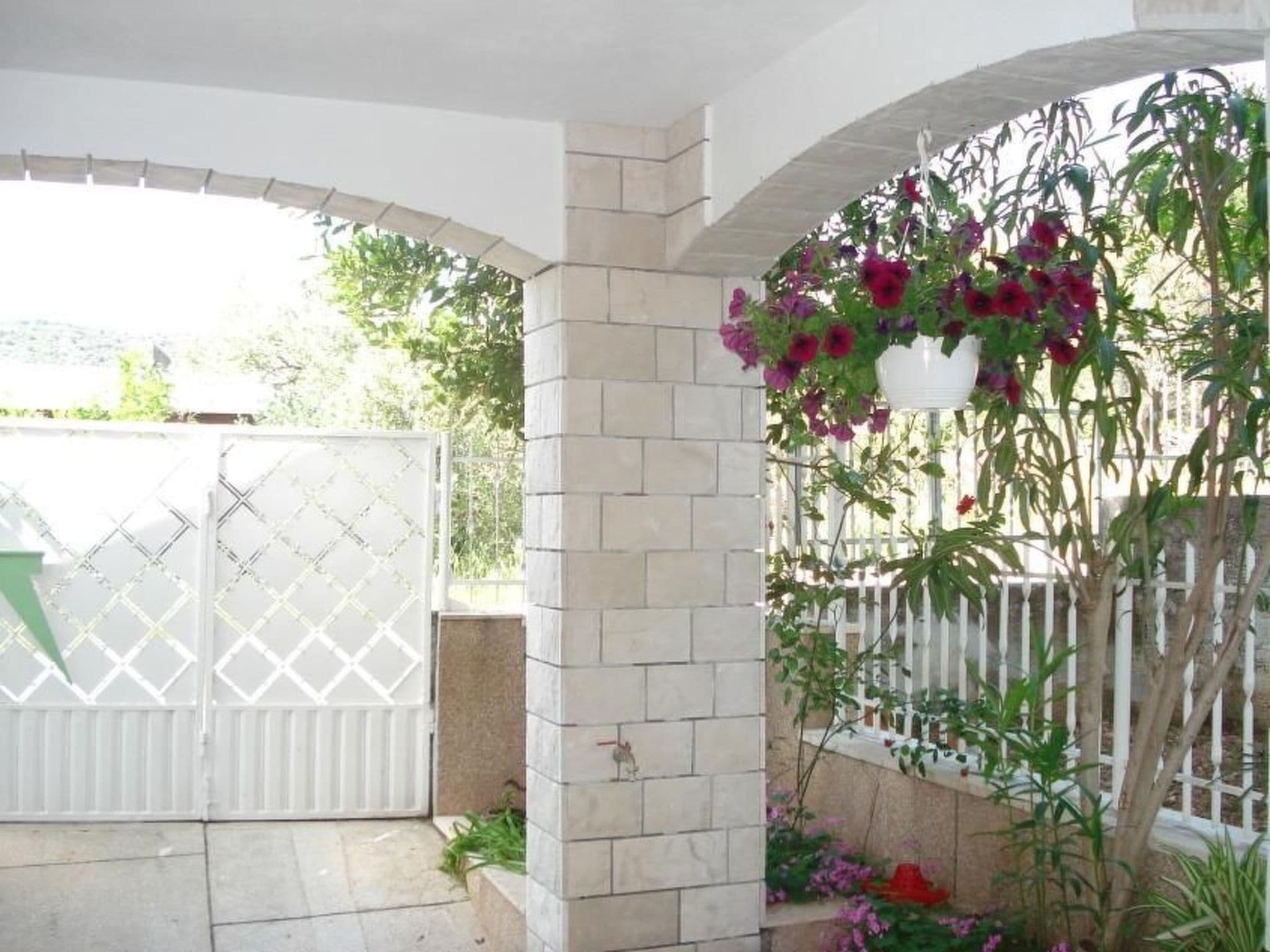 Gallery Image 25