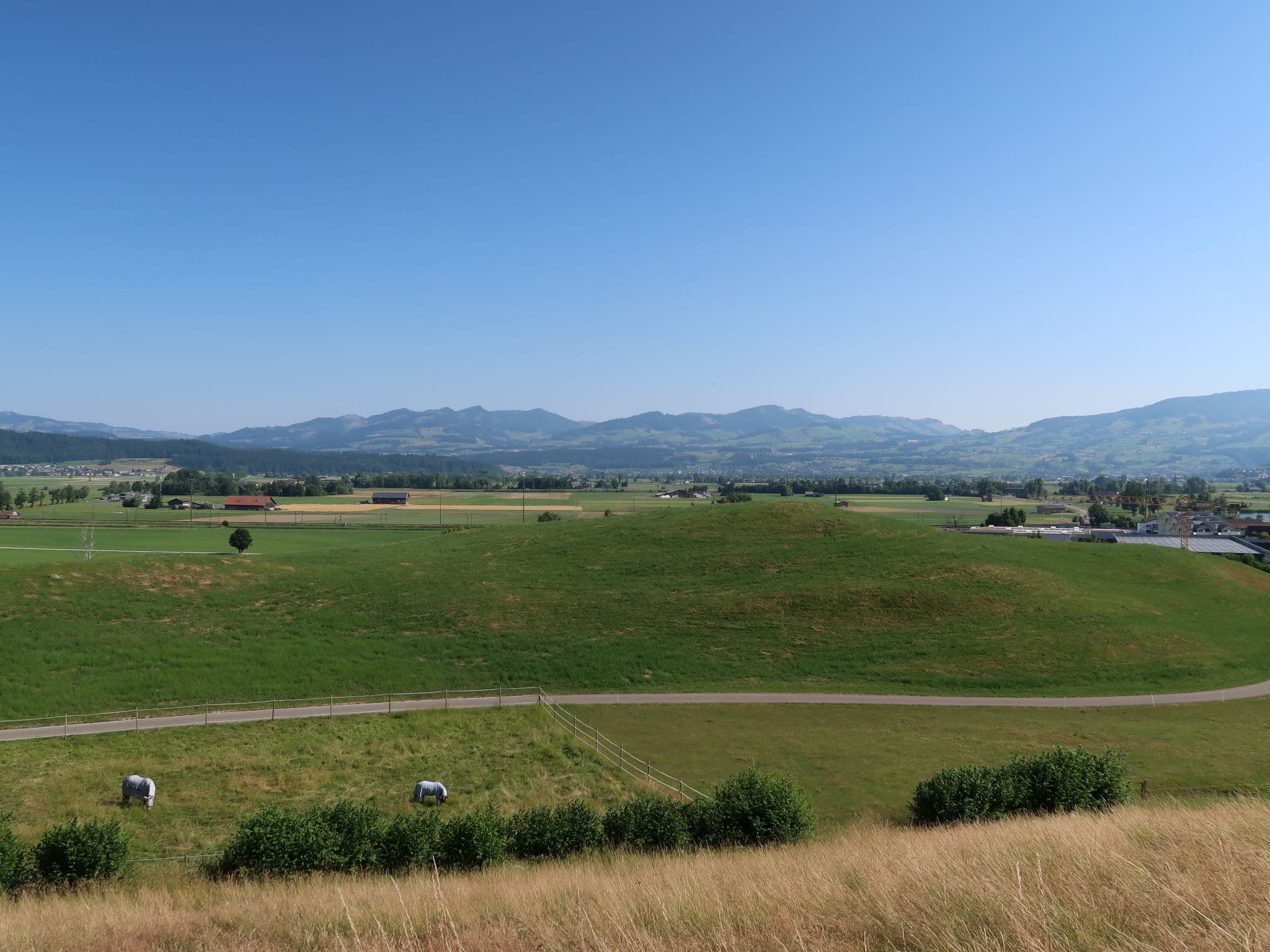 View