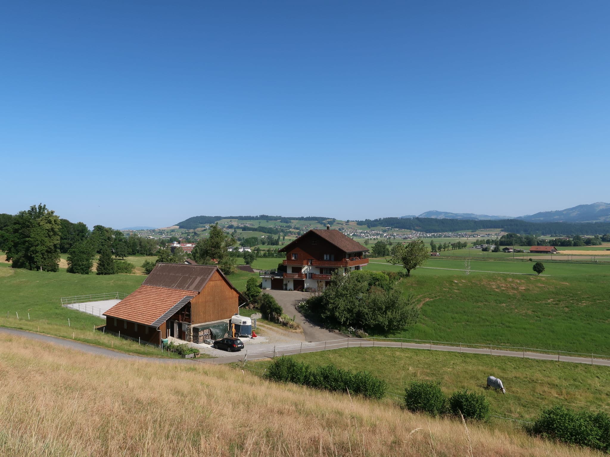 View