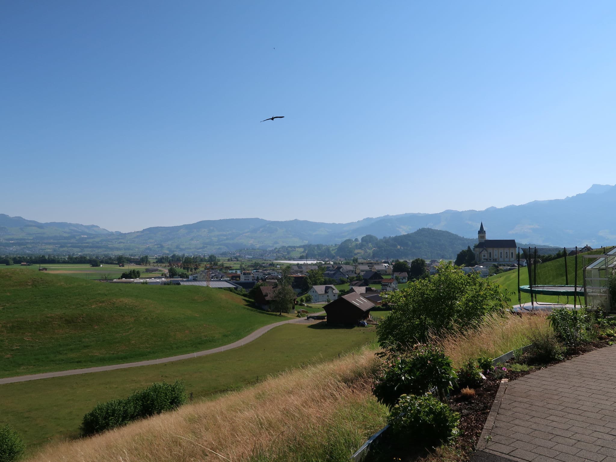 View