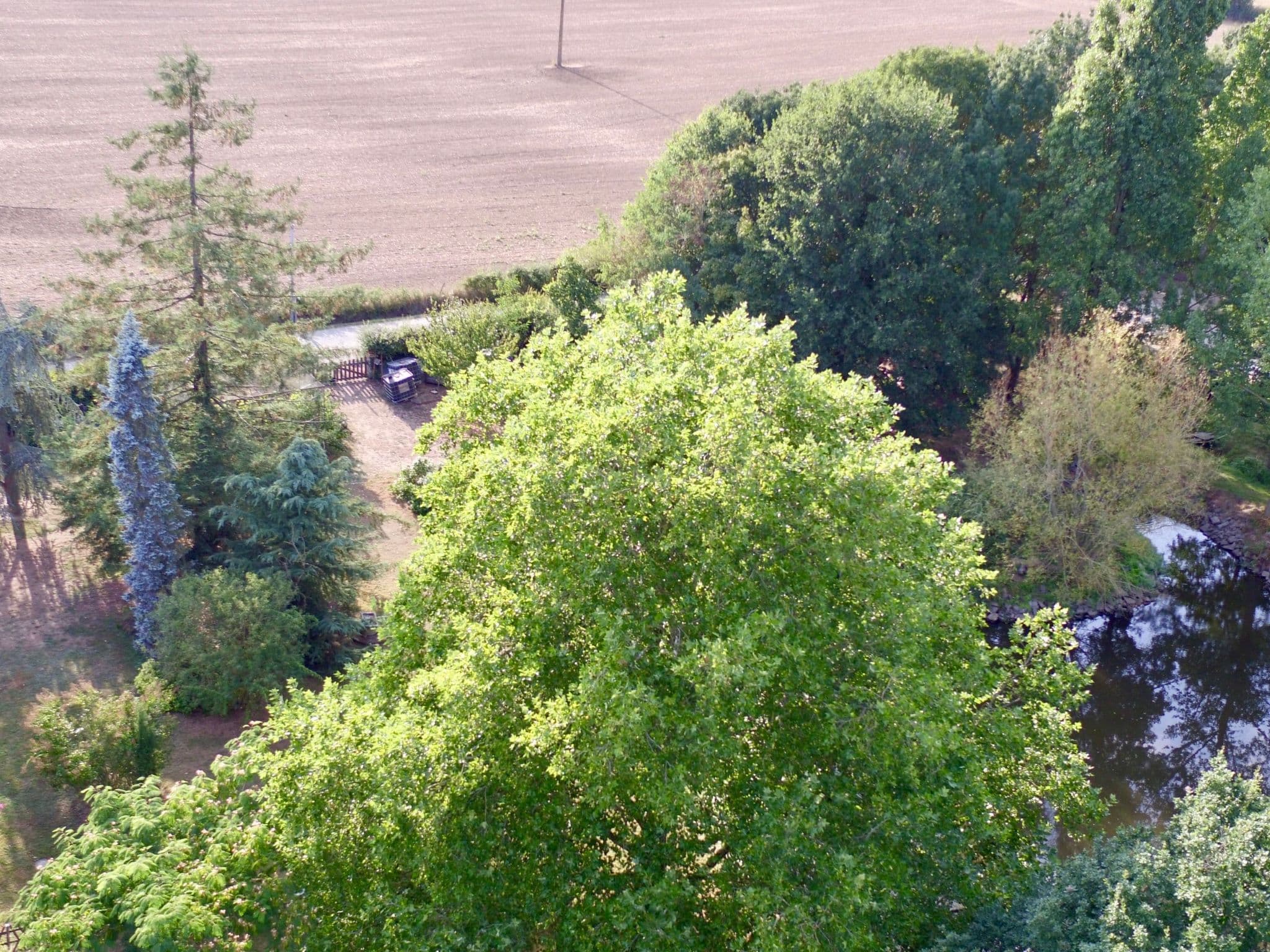 Gallery Image 22