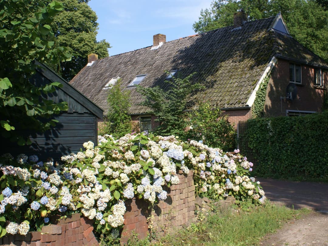 Large Image