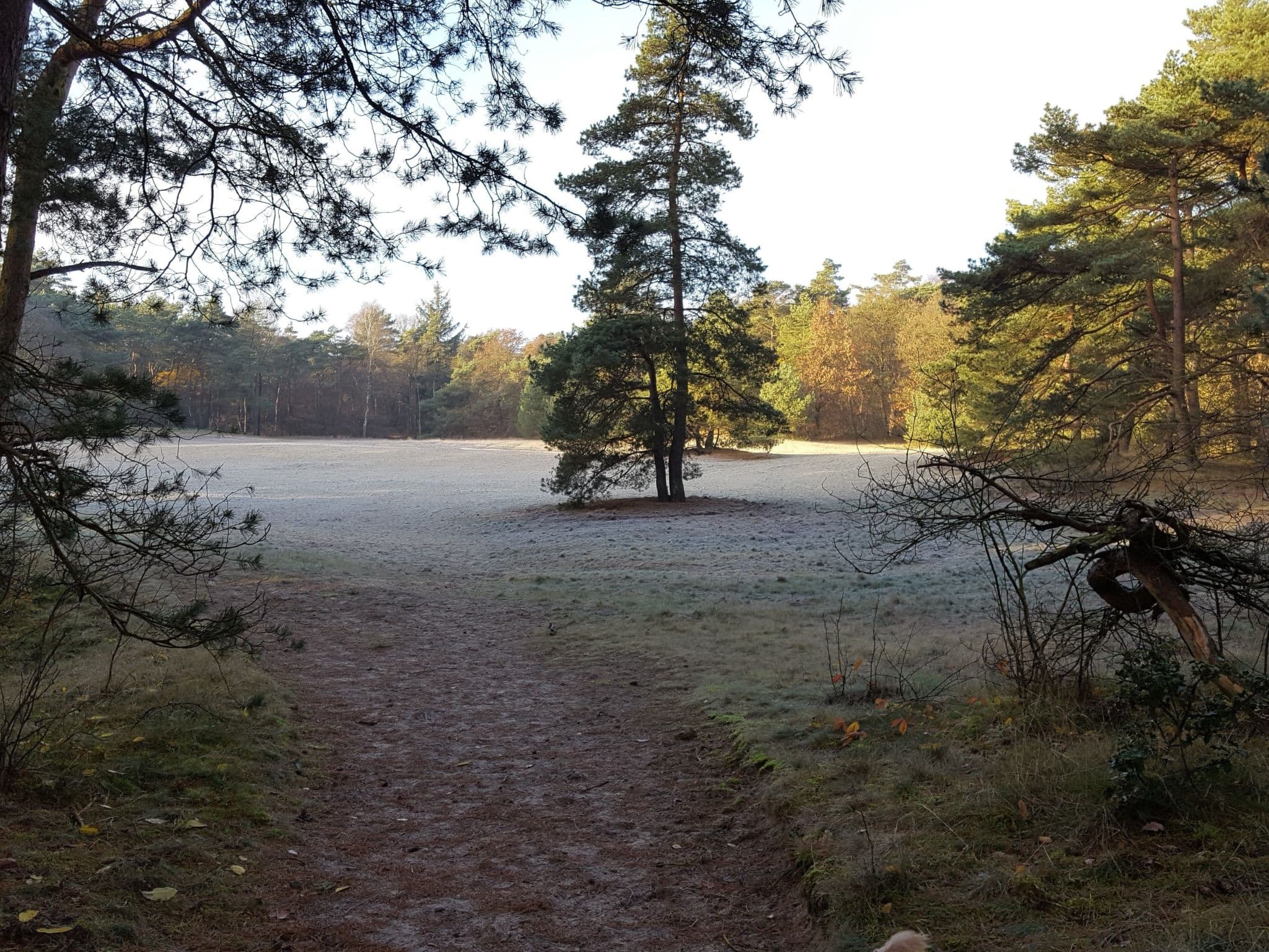 Gallery Image 15
