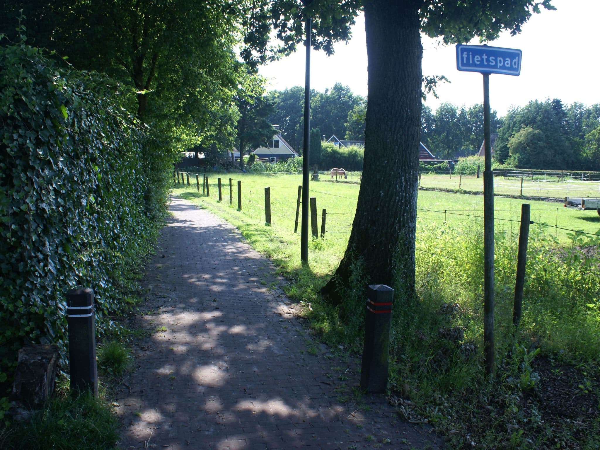 Gallery Image 30
