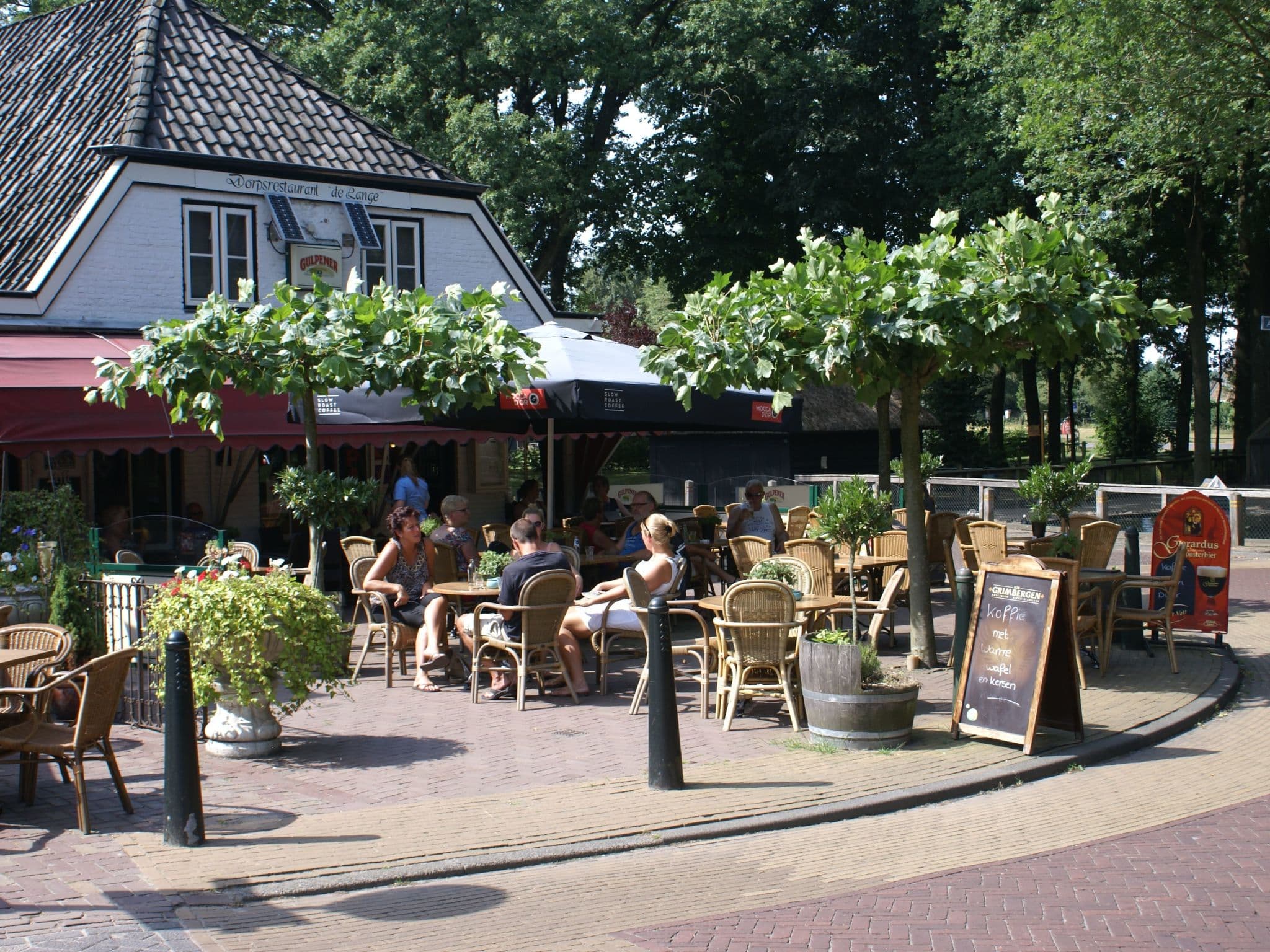Terrace
