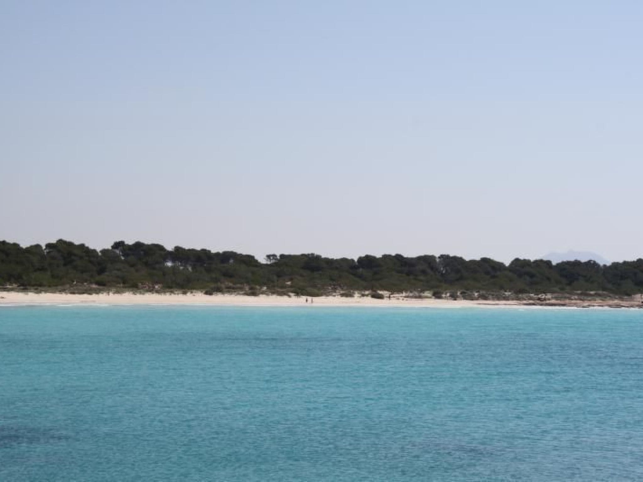 Gallery Image 21